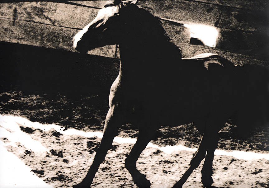 moving indoors tif.jpg