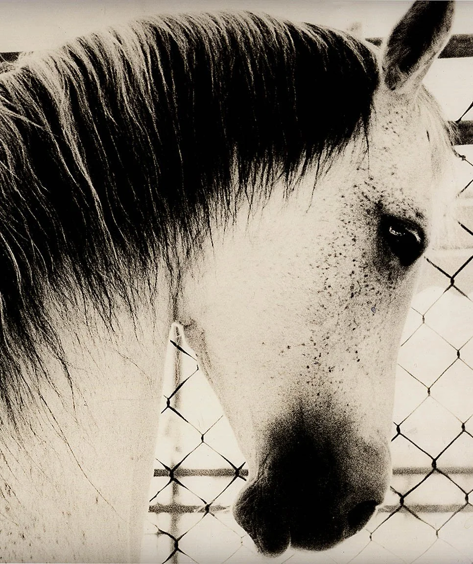 collected best-1.jpg