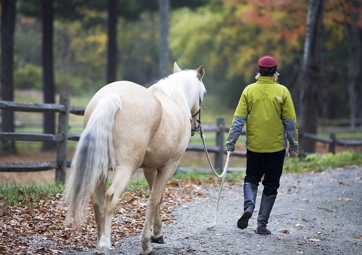 Walking PL w 4435.jpg