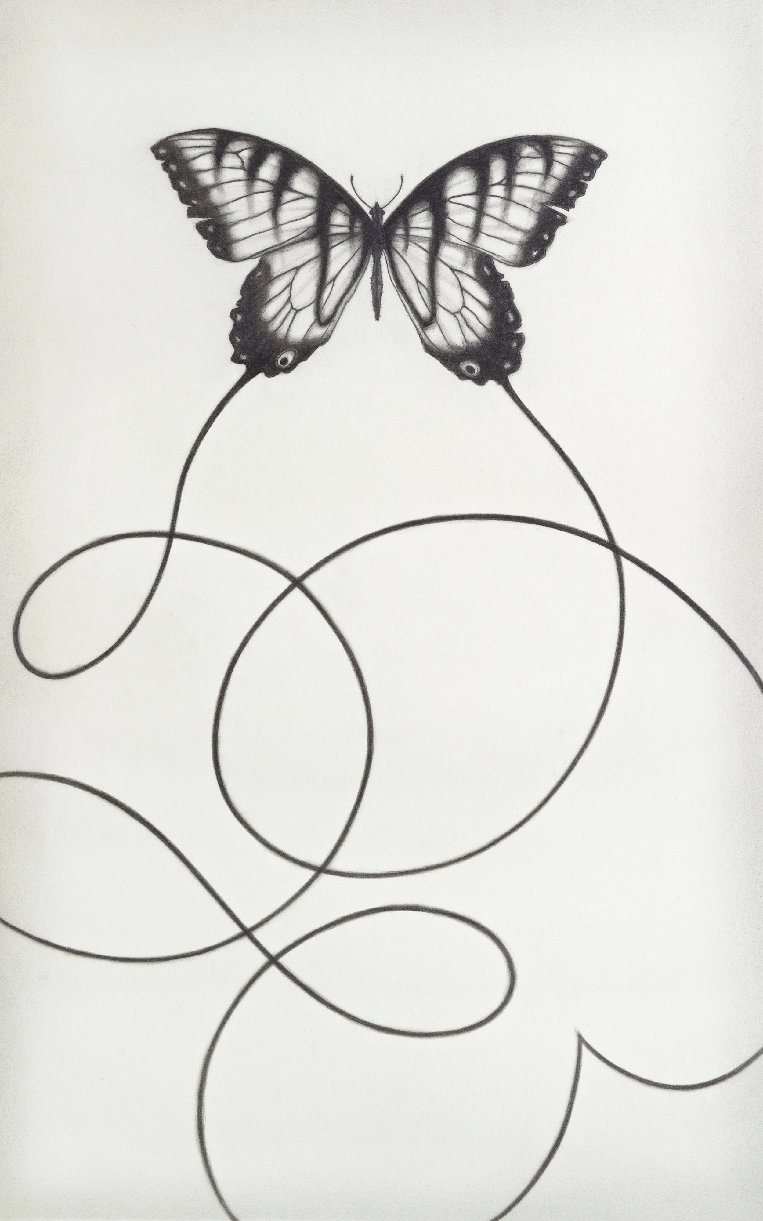 Knoll May. 2024 001.jpg