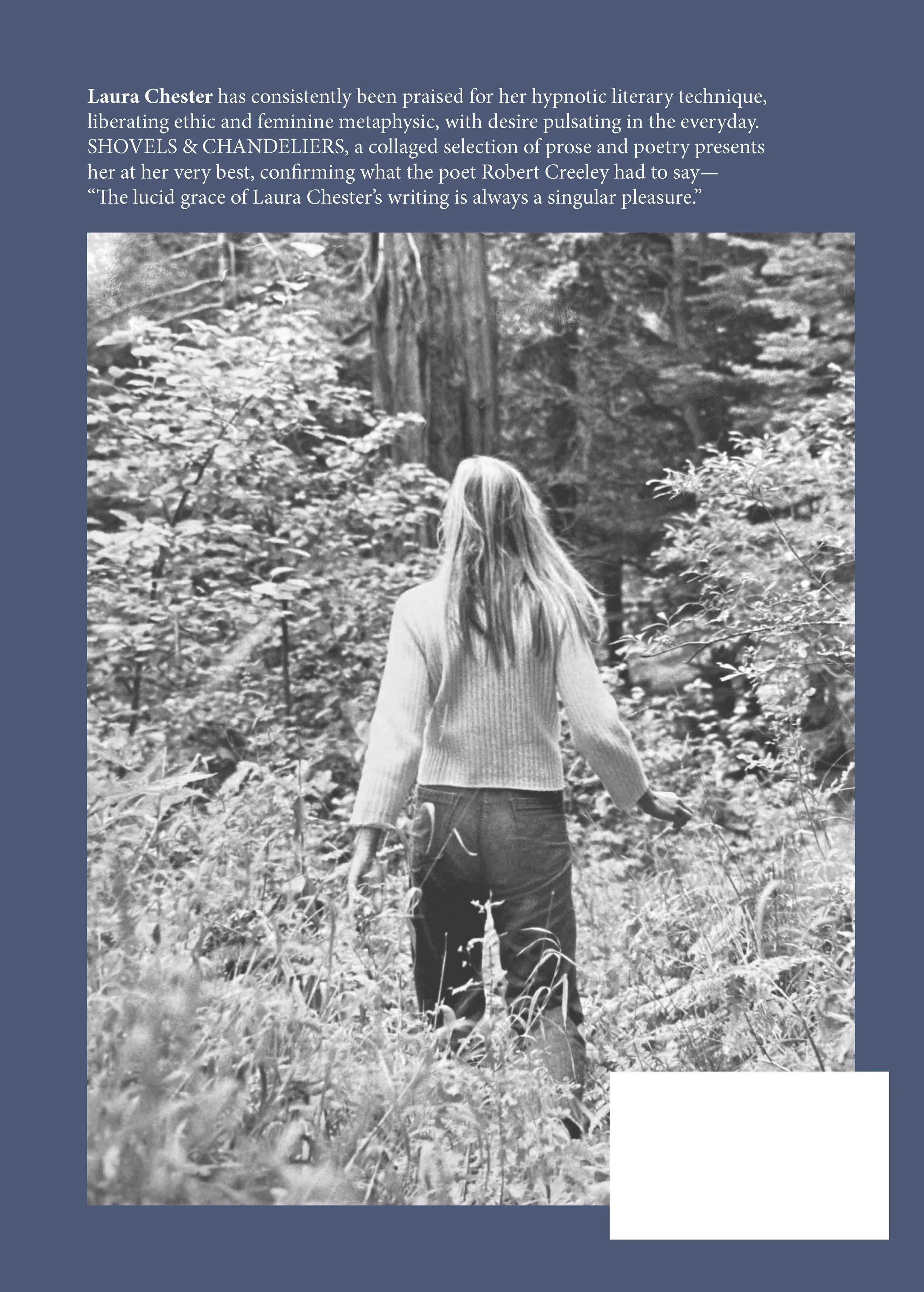 Back cover of "Shovels & Chandeliers"