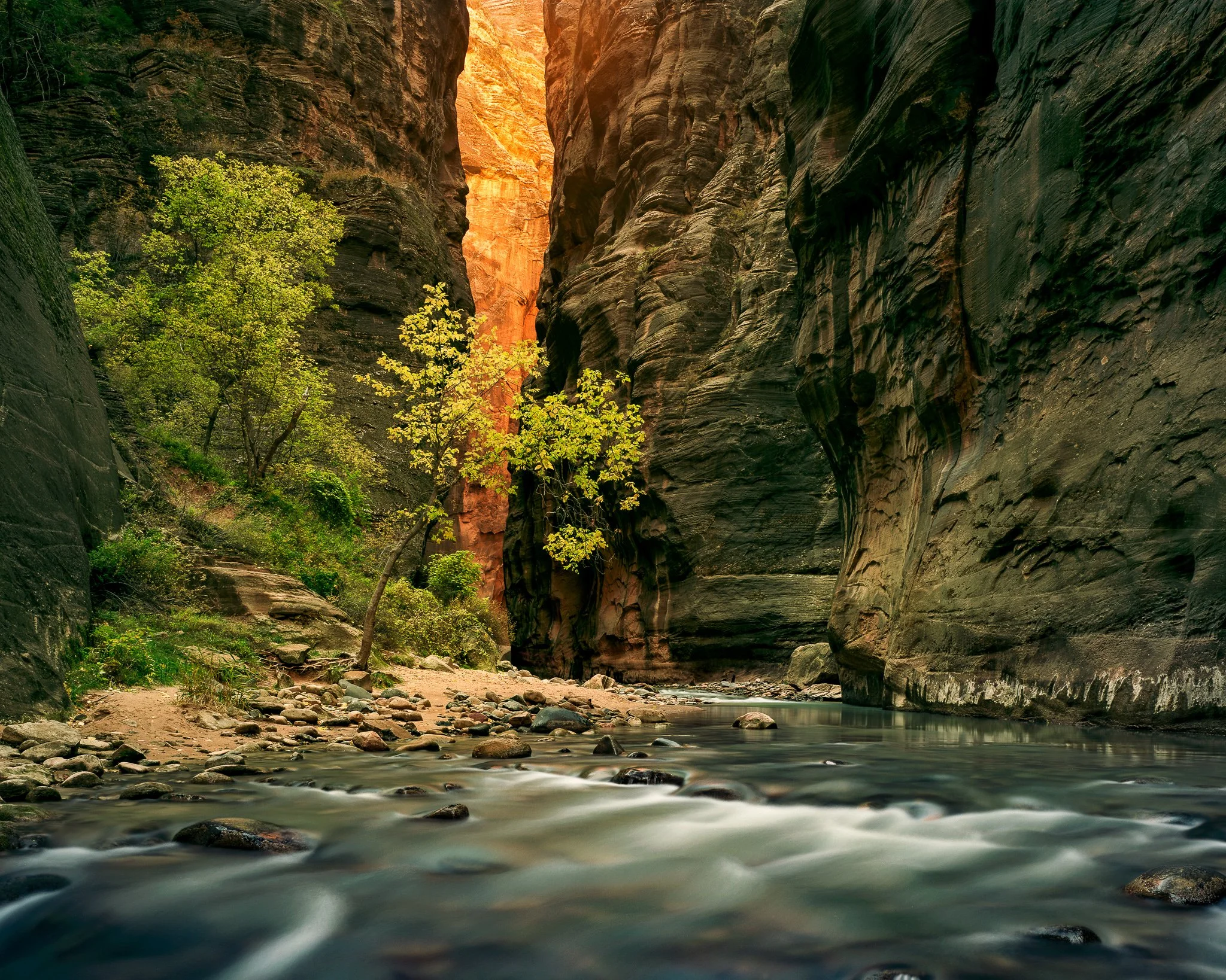 Website_Western_Light_2048px-4.jpg