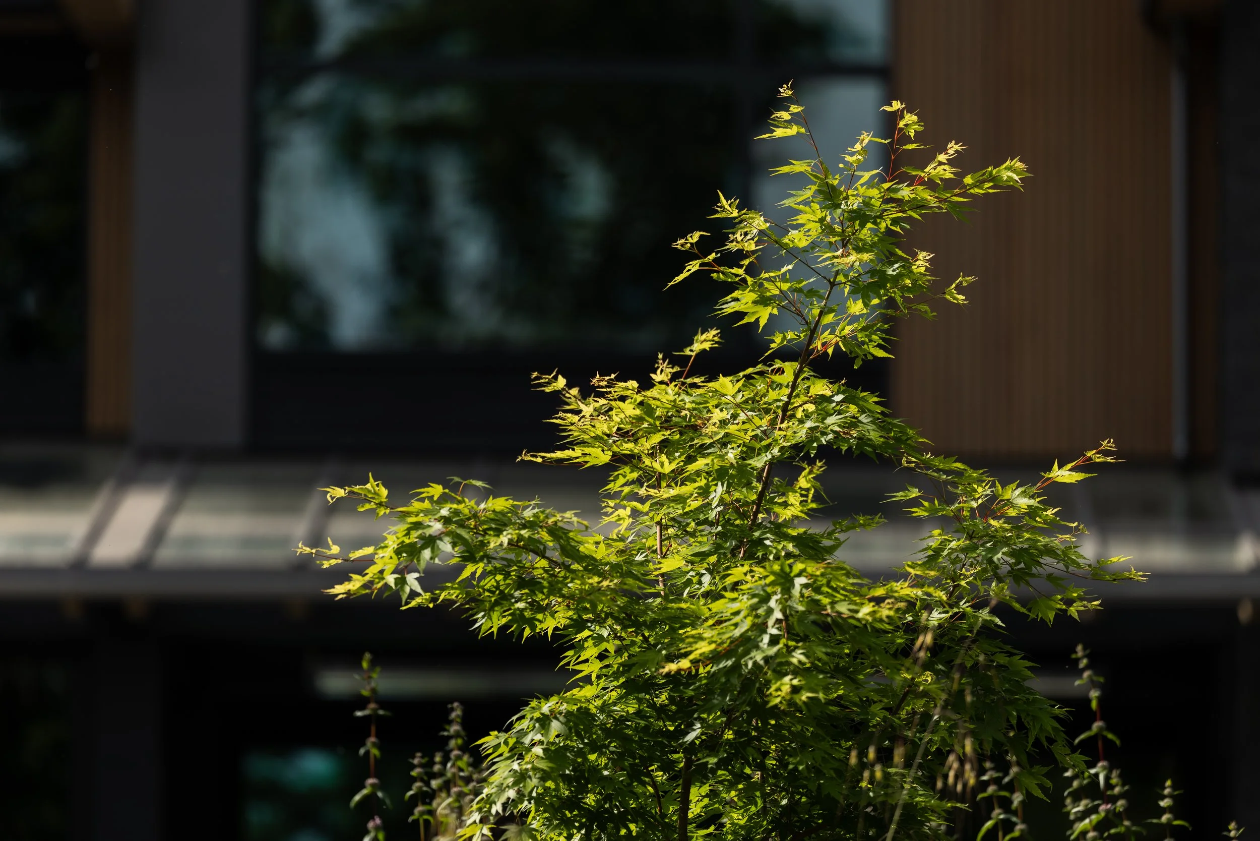 FFL-Grassmere-Residence-Previews-1011.jpg