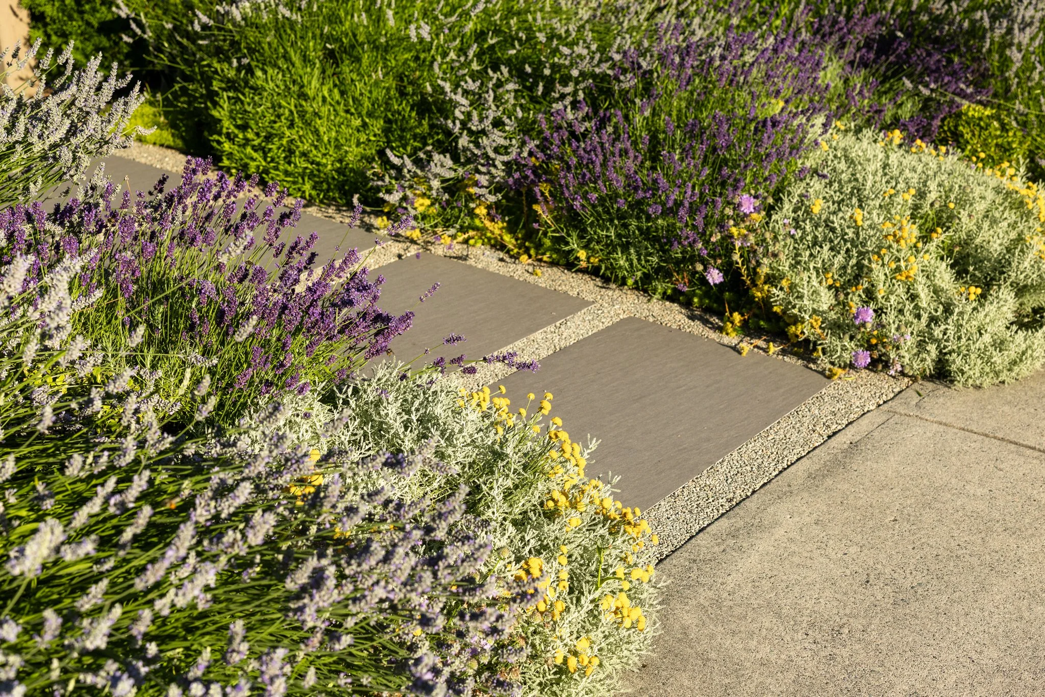 Free-Form-Landscapes-William-Ave-Residence-1049.jpg