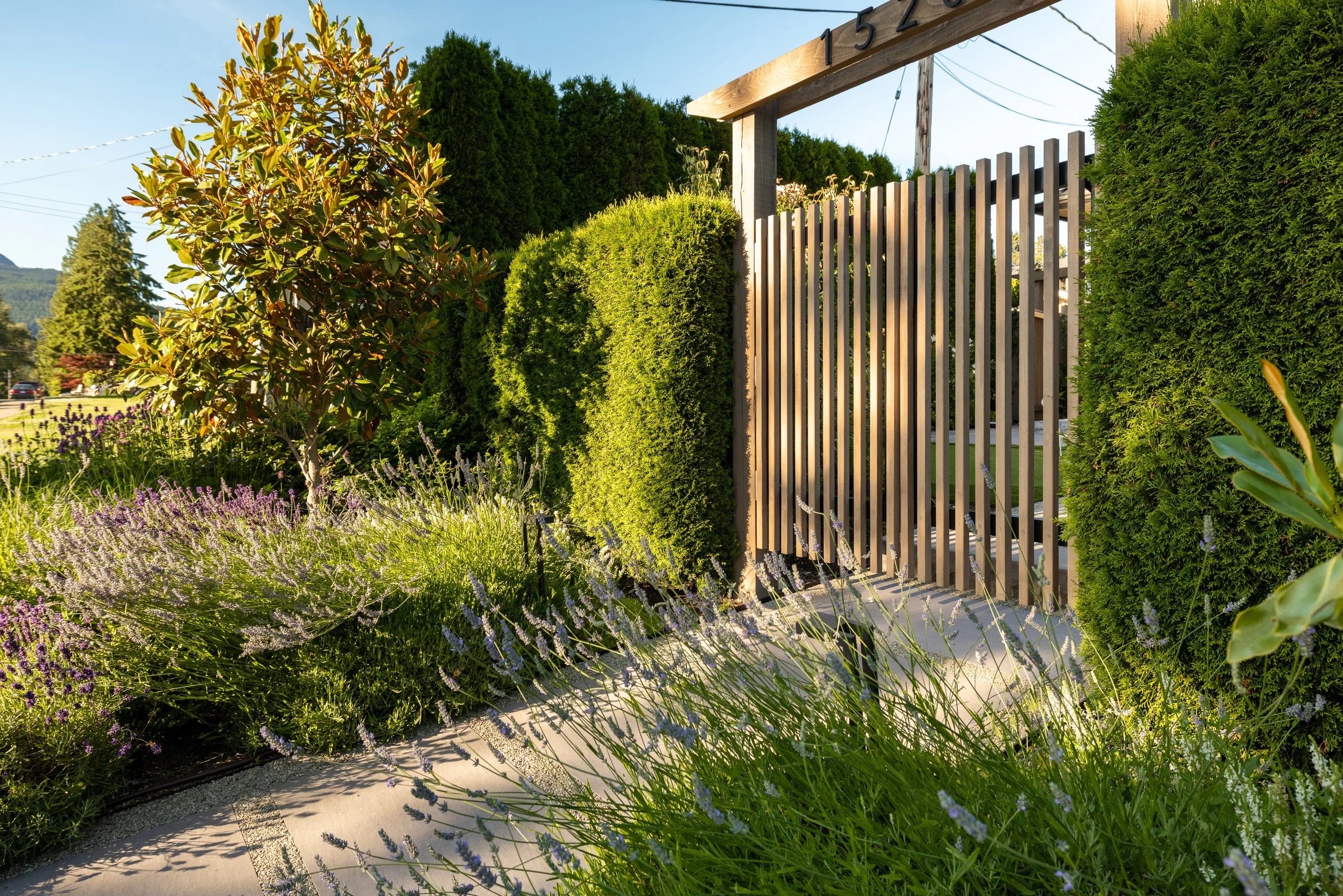 Free-Form-Landscapes-William-Ave-Residence-1046.jpg