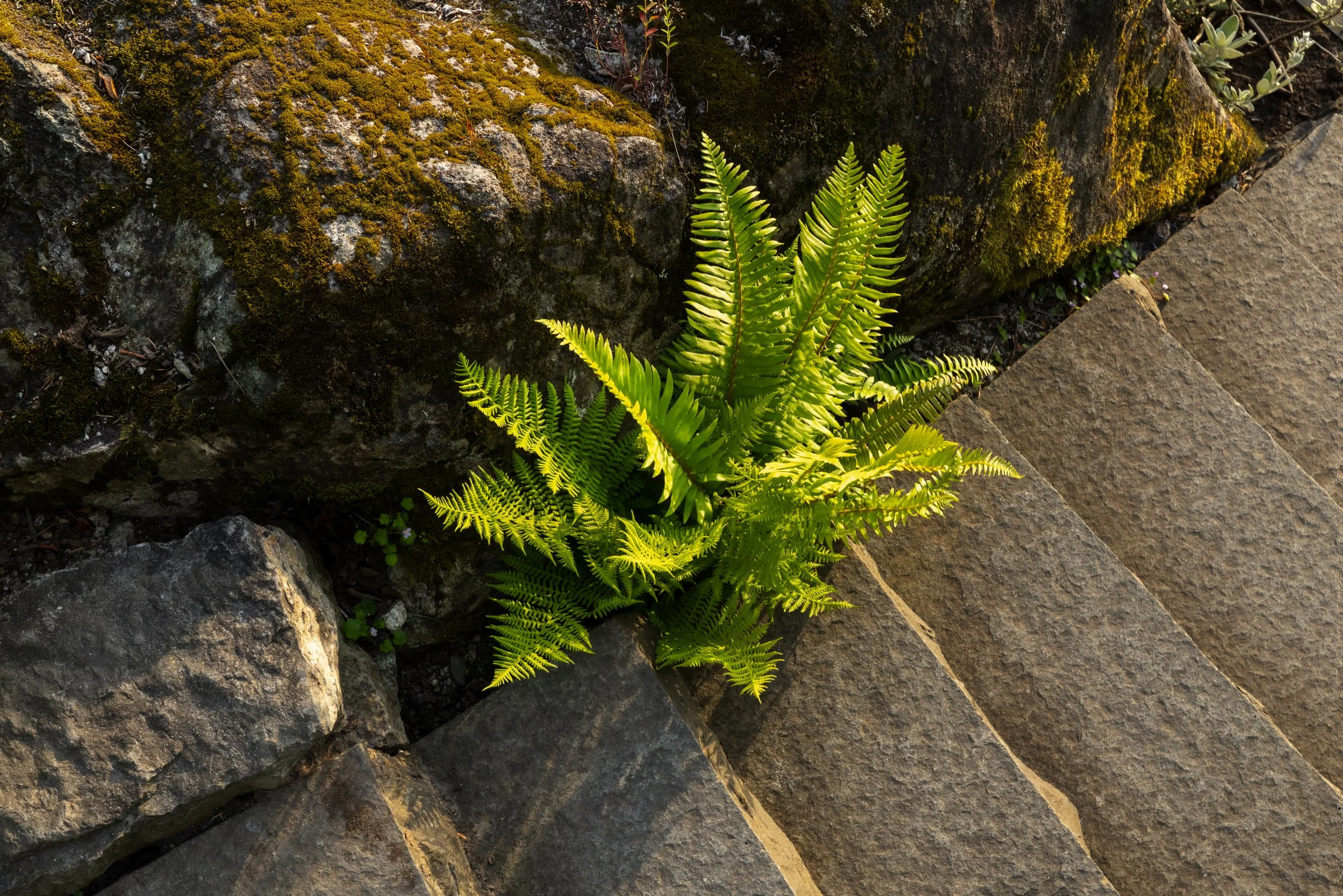 FFL-West-Vancouver-Whytecliff-Residence-Previews-1026.jpg