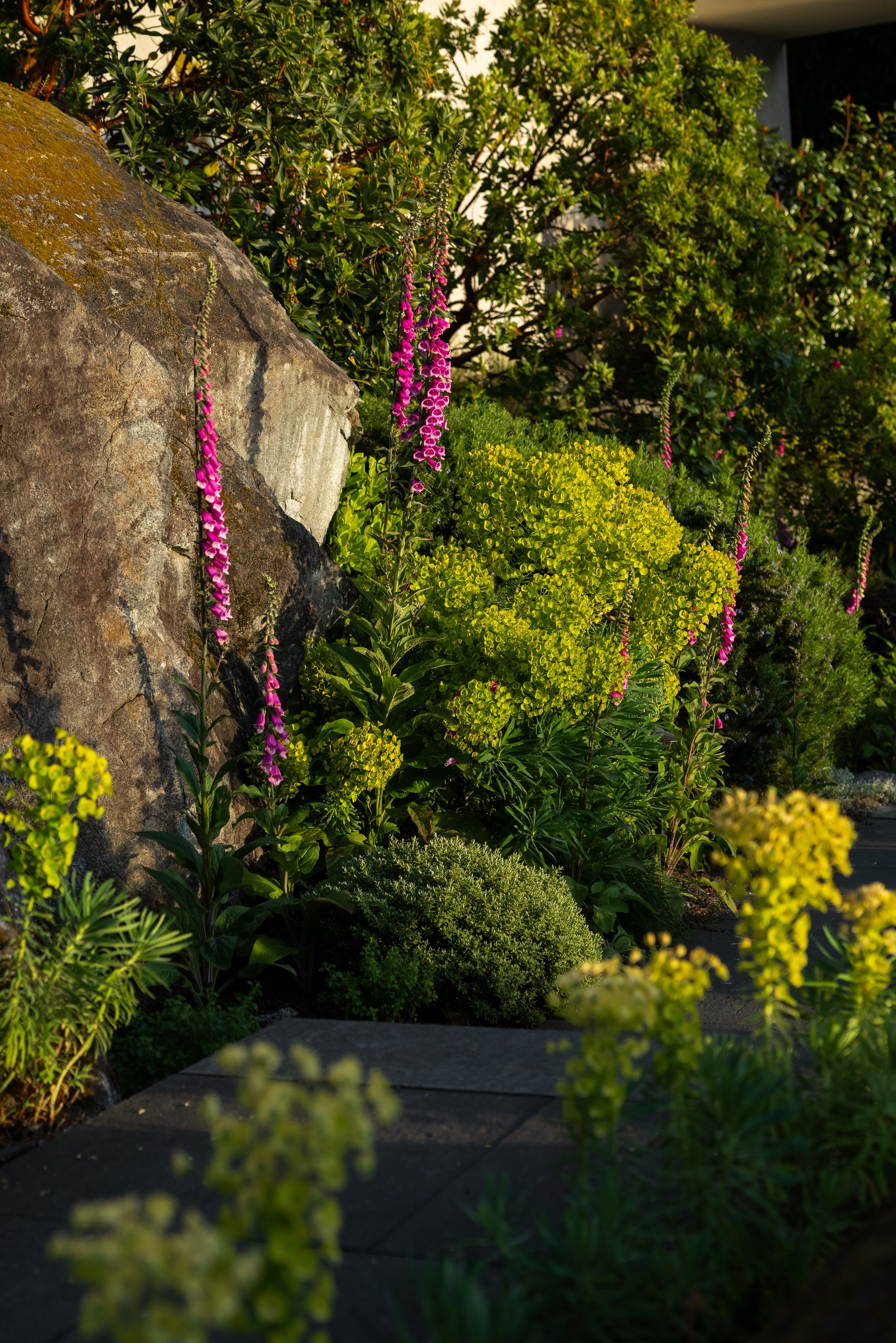 FFL-West-Vancouver-Whytecliff-Residence-Previews-1032.jpg