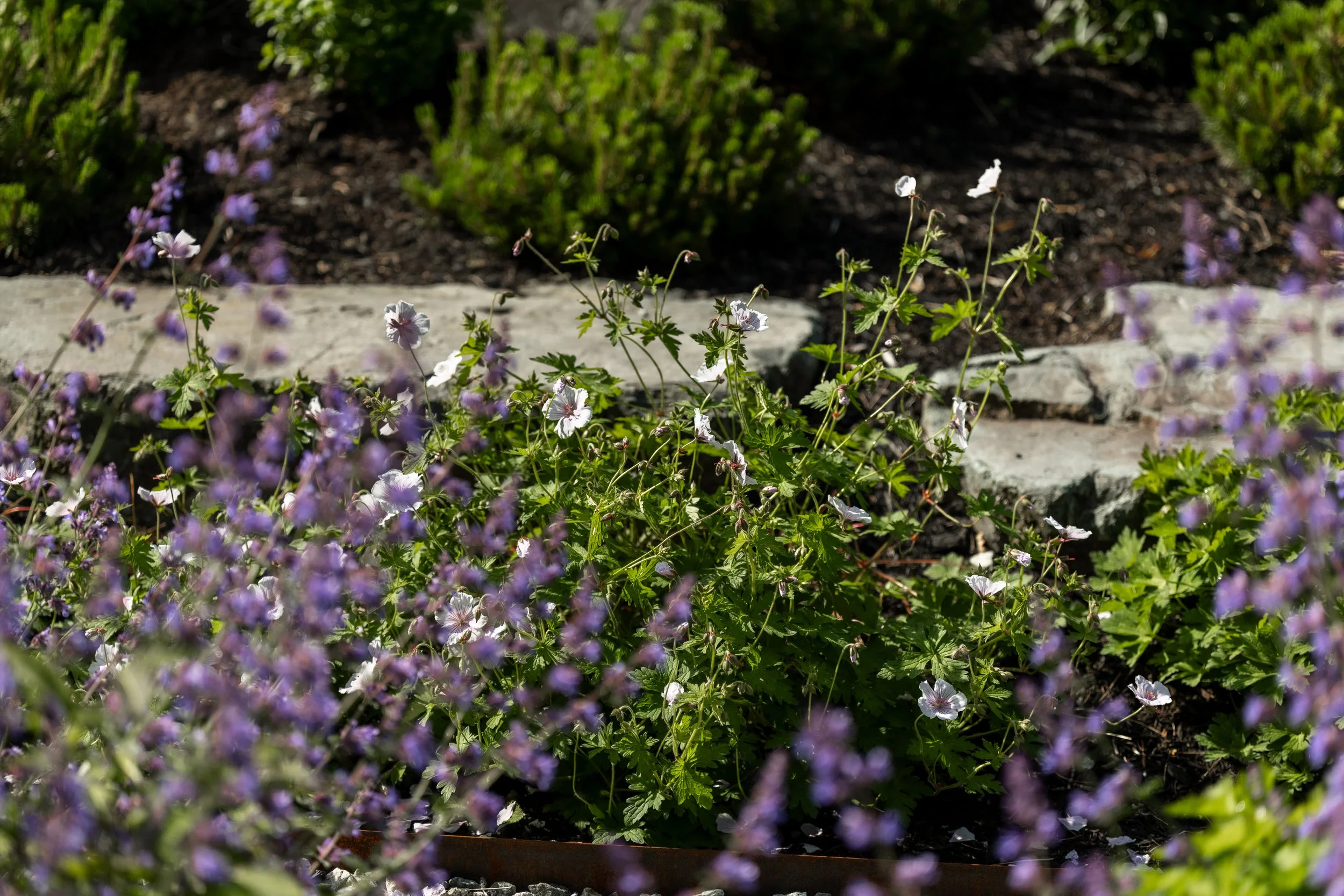 FFL-Grassmere-Residence-Previews-1042.jpg