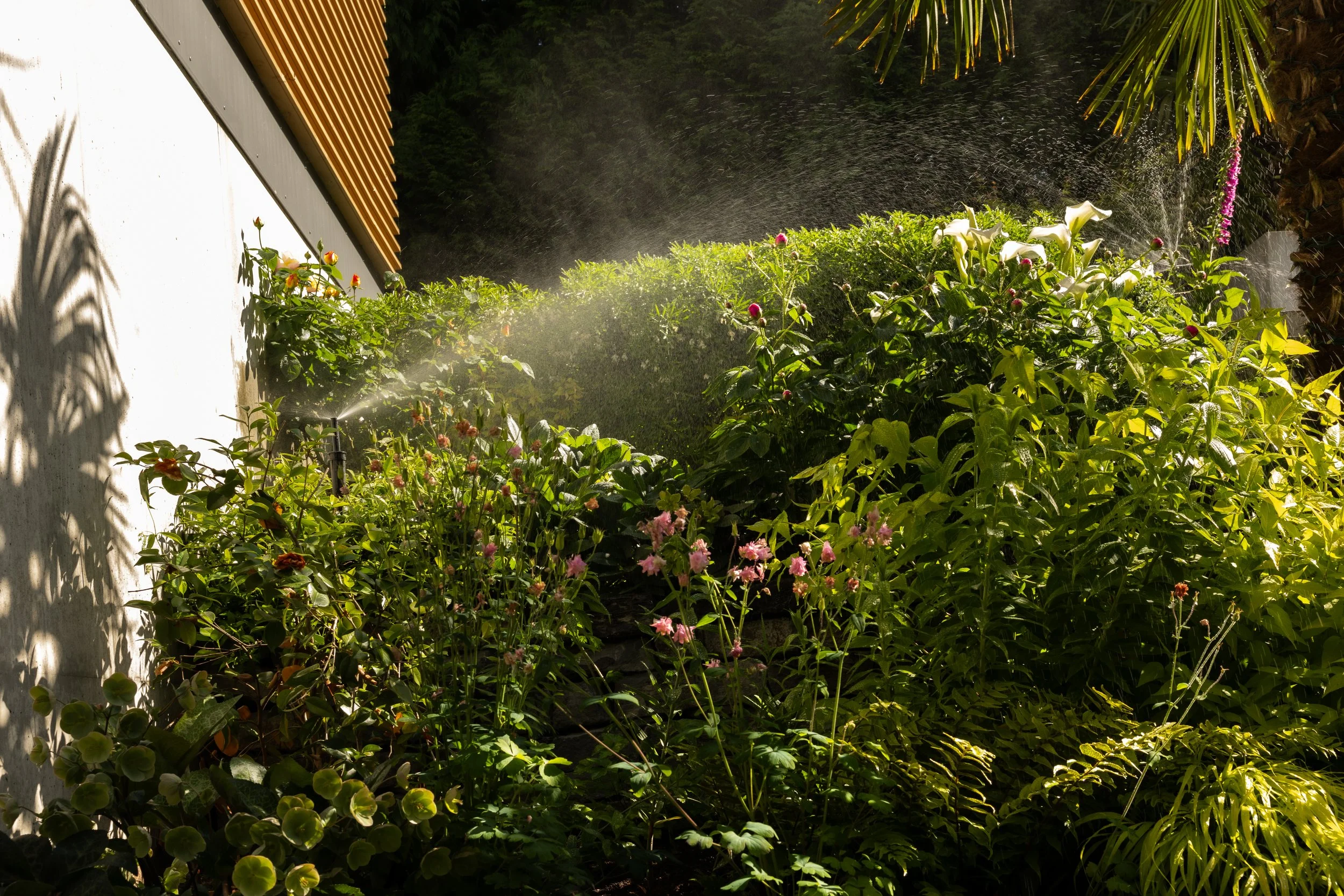 FFL-West-Vancouver-Whytecliff-Residence-Previews-1004.jpg