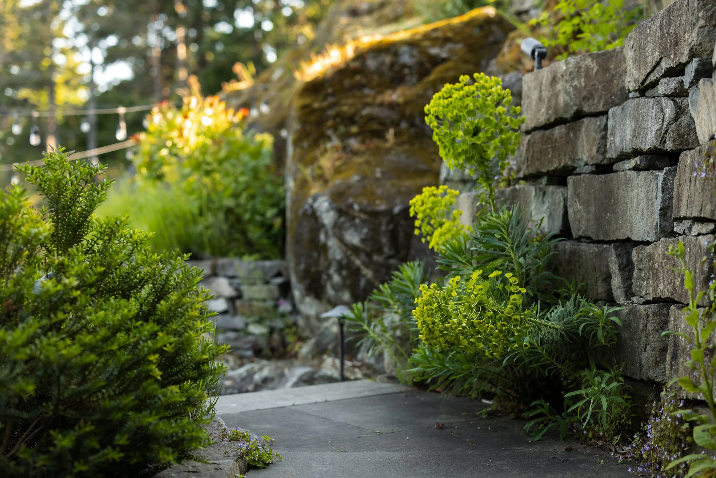 FFL-West-Vancouver-Whytecliff-Residence-Previews-1008.jpg