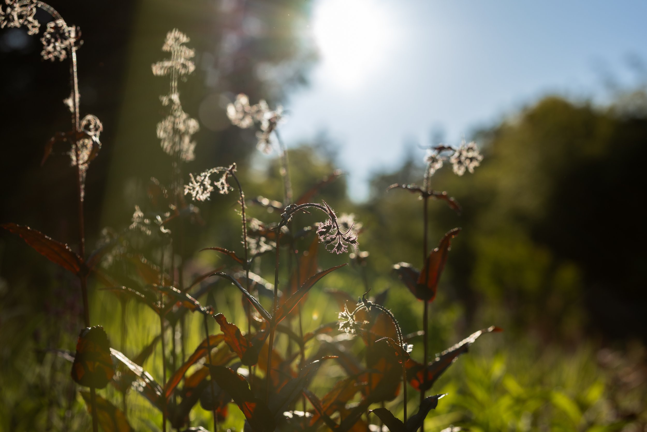 FFL-Grassmere-Residence-Previews-1034.jpg