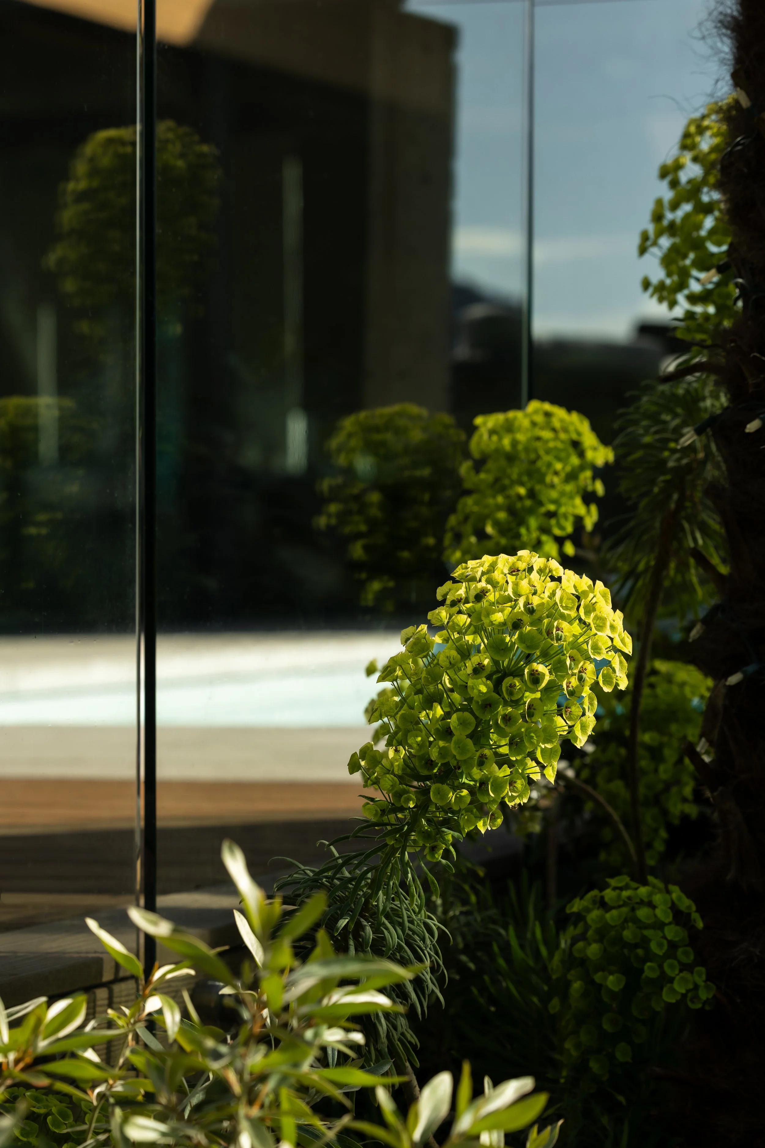 FFL-West-Vancouver-Whytecliff-Residence-Previews-1003.jpg