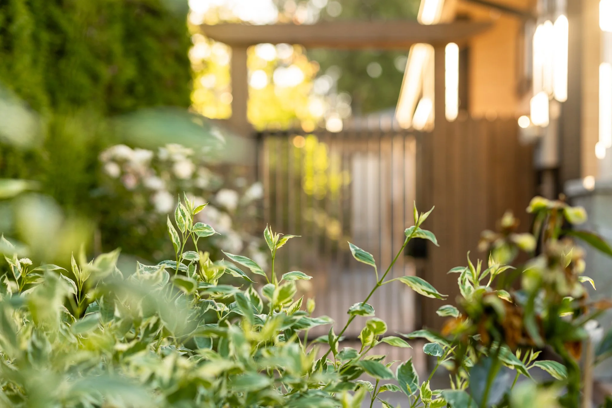 Free-Form-Landscapes-William-Ave-Residence-1016.jpg