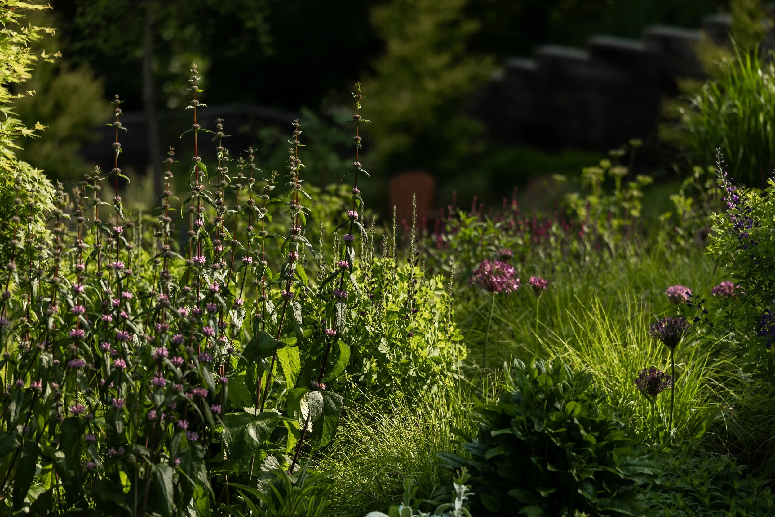 FFL-Grassmere-Residence-Previews-1007.jpg