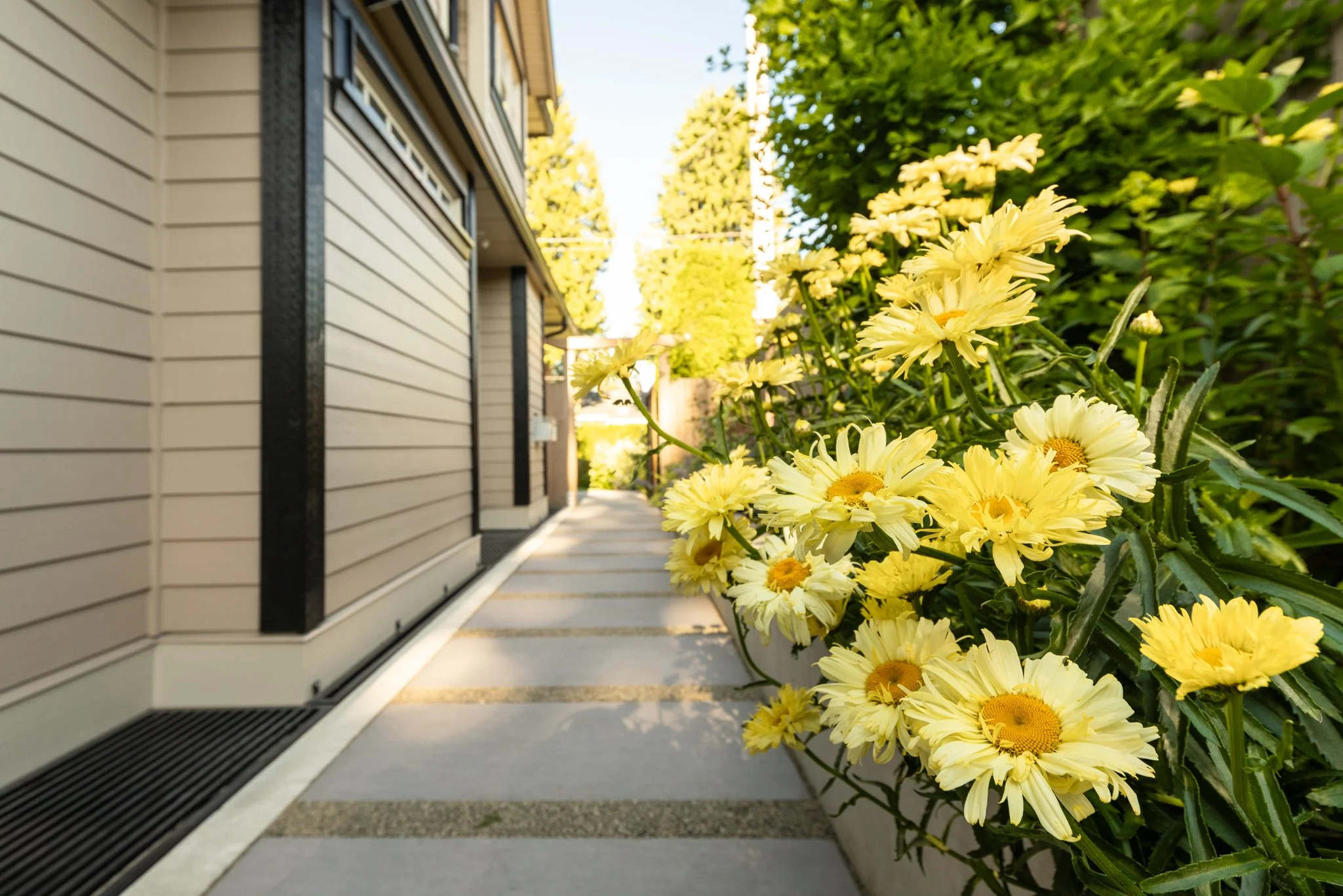 Free-Form-Landscapes-William-Ave-Residence-1029.jpg