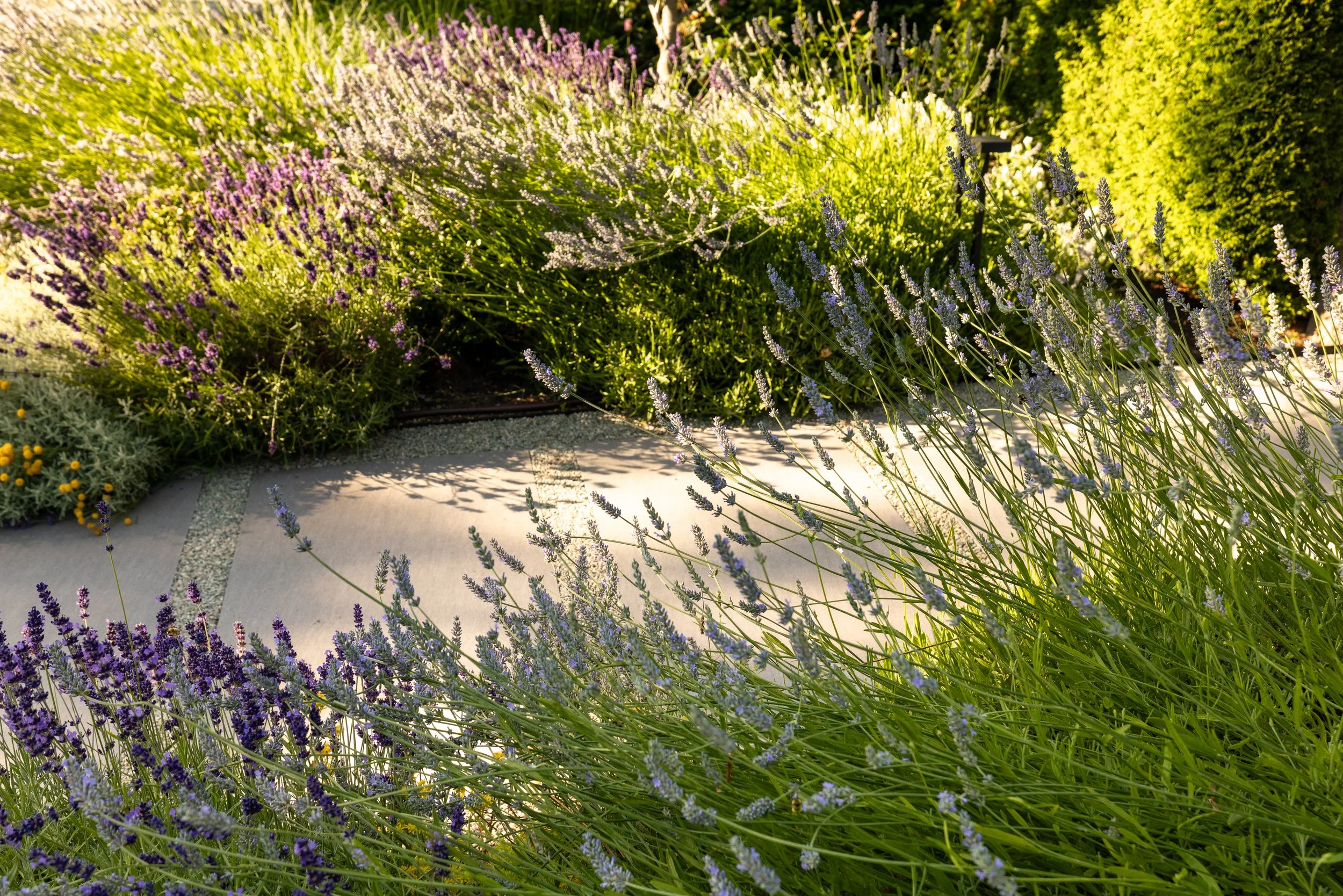 Free-Form-Landscapes-William-Ave-Residence-1047.jpg