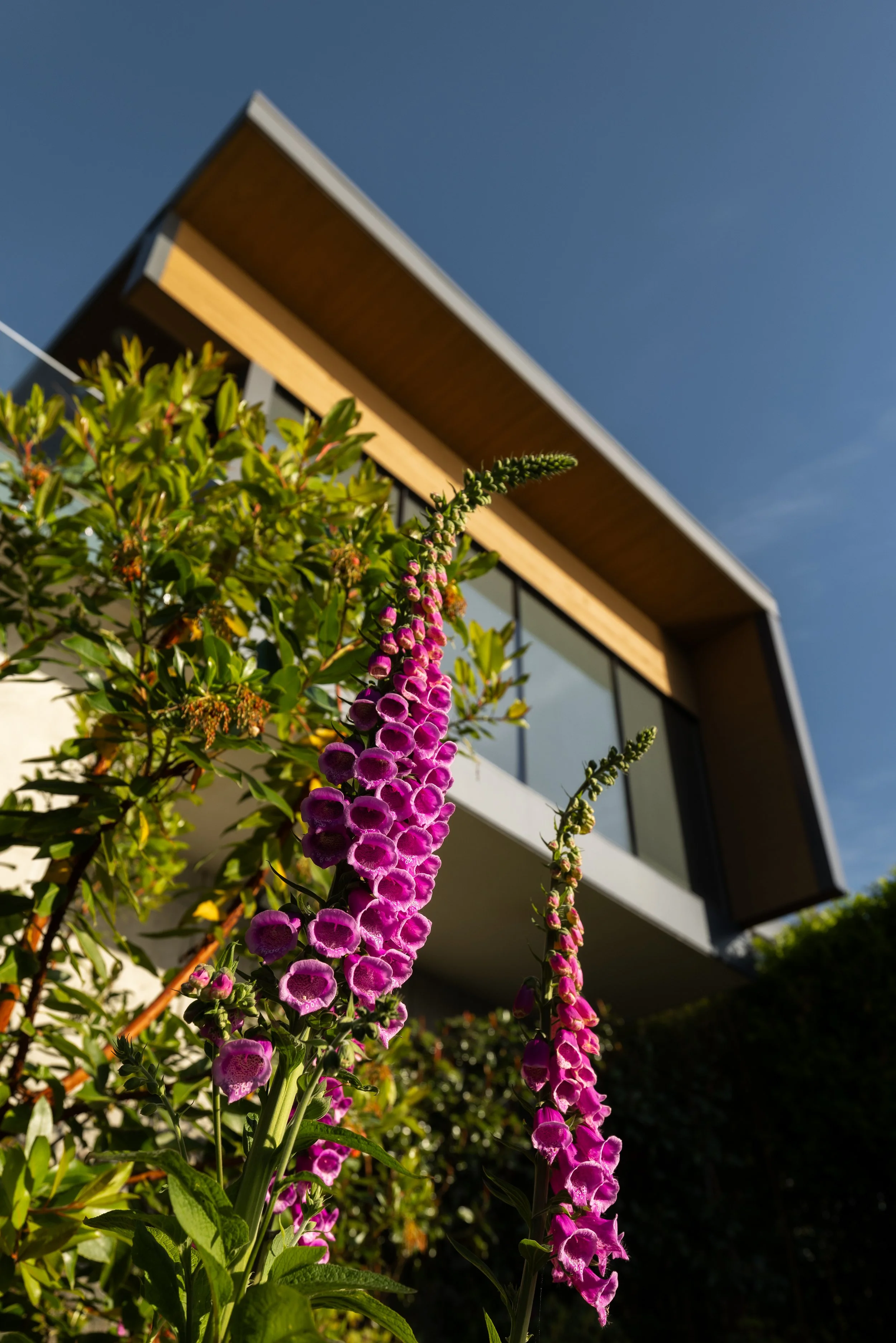 FFL-West-Vancouver-Whytecliff-Residence-Previews-1023.jpg
