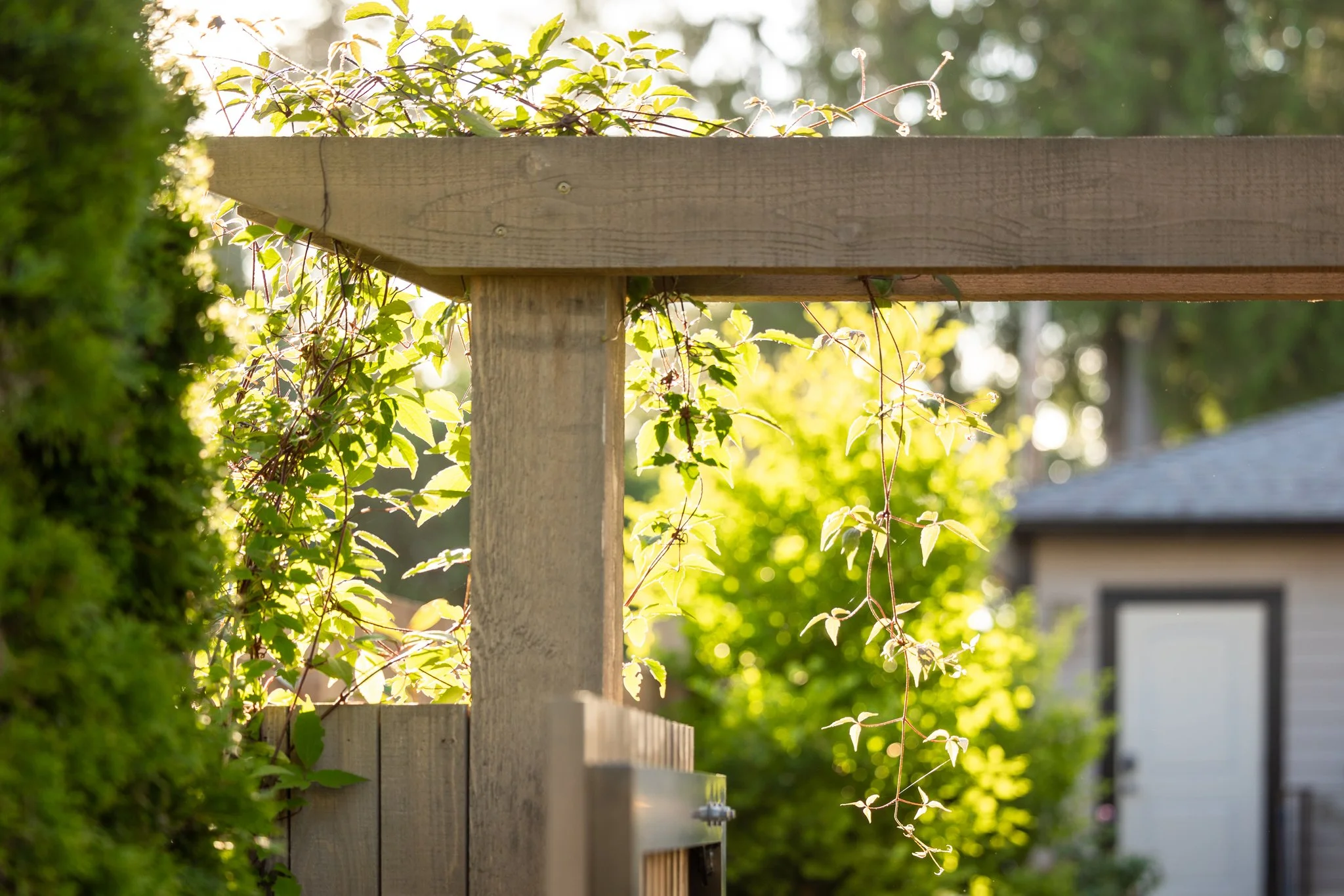 Free-Form-Landscapes-William-Ave-Residence-1019.jpg