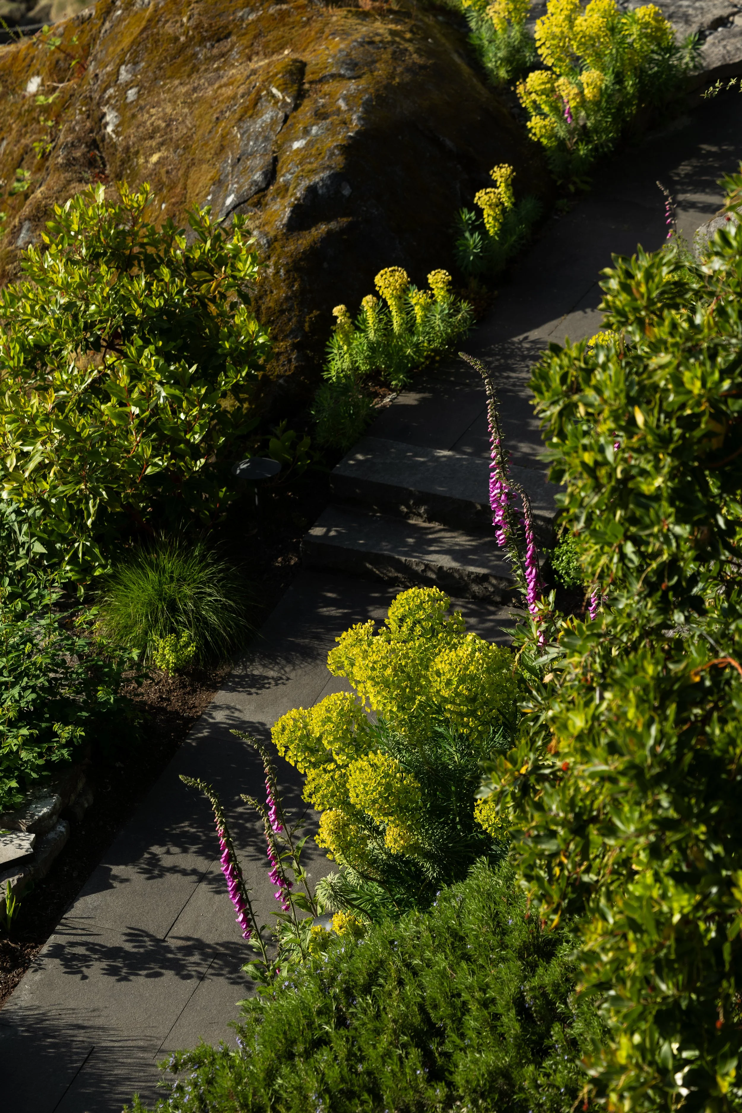 FFL-West-Vancouver-Whytecliff-Residence-Previews-1022.jpg