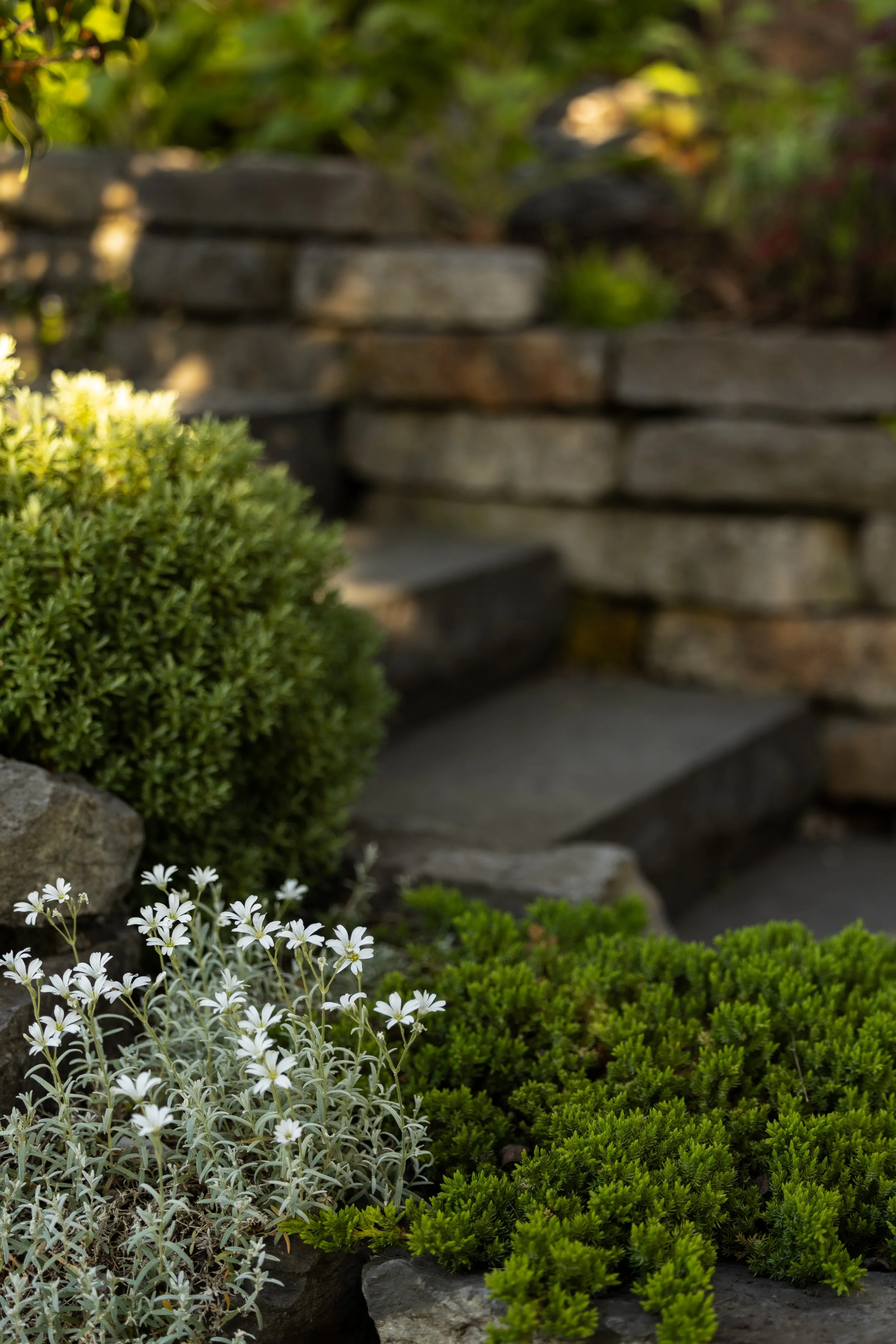 FFL-West-Vancouver-Whytecliff-Residence-Previews-1015.jpg