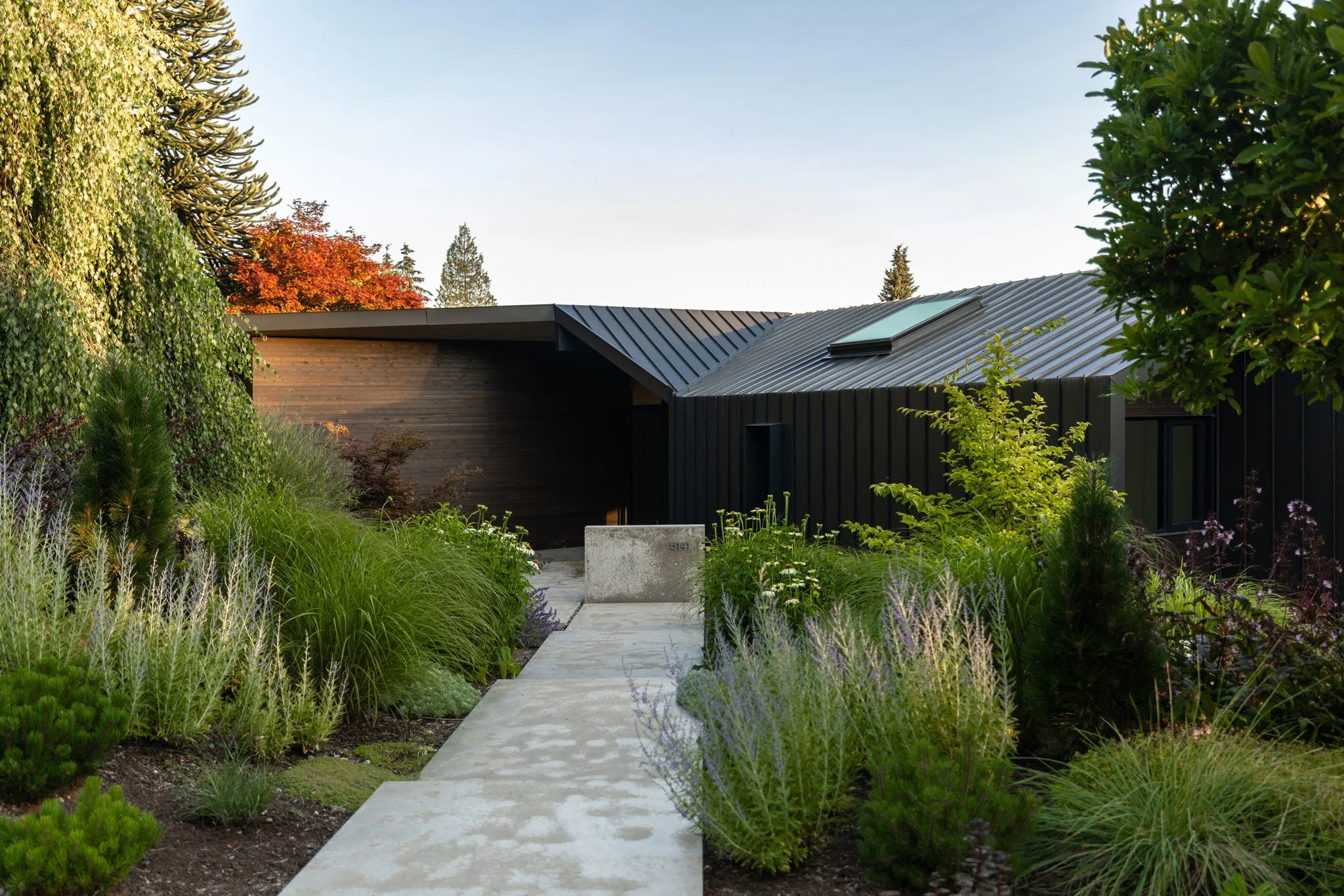 Free-Form-Landscapes-Francisco-Ct-Residence-1124.jpg