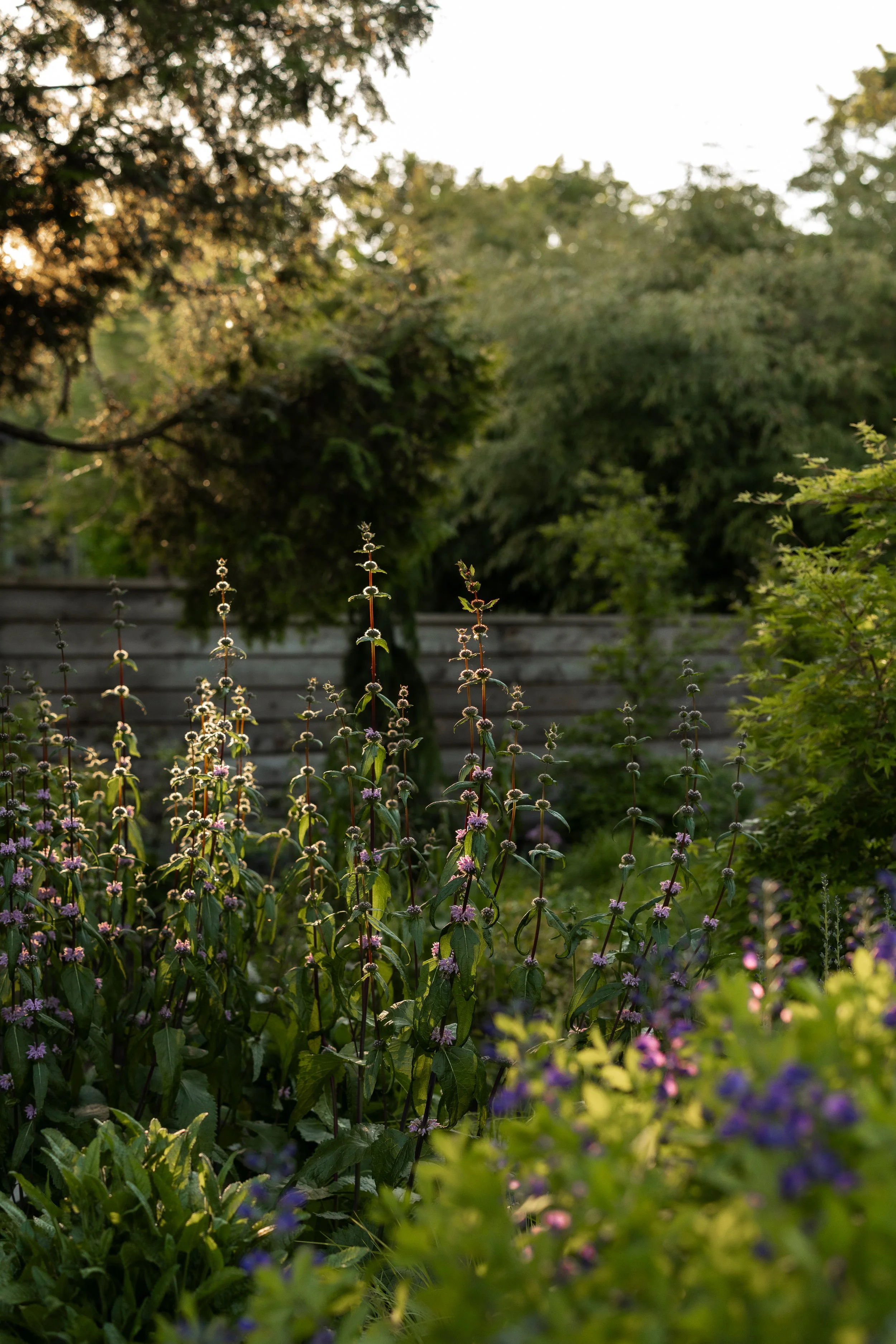 FFL-Grassmere-Residence-Previews-1035.jpg
