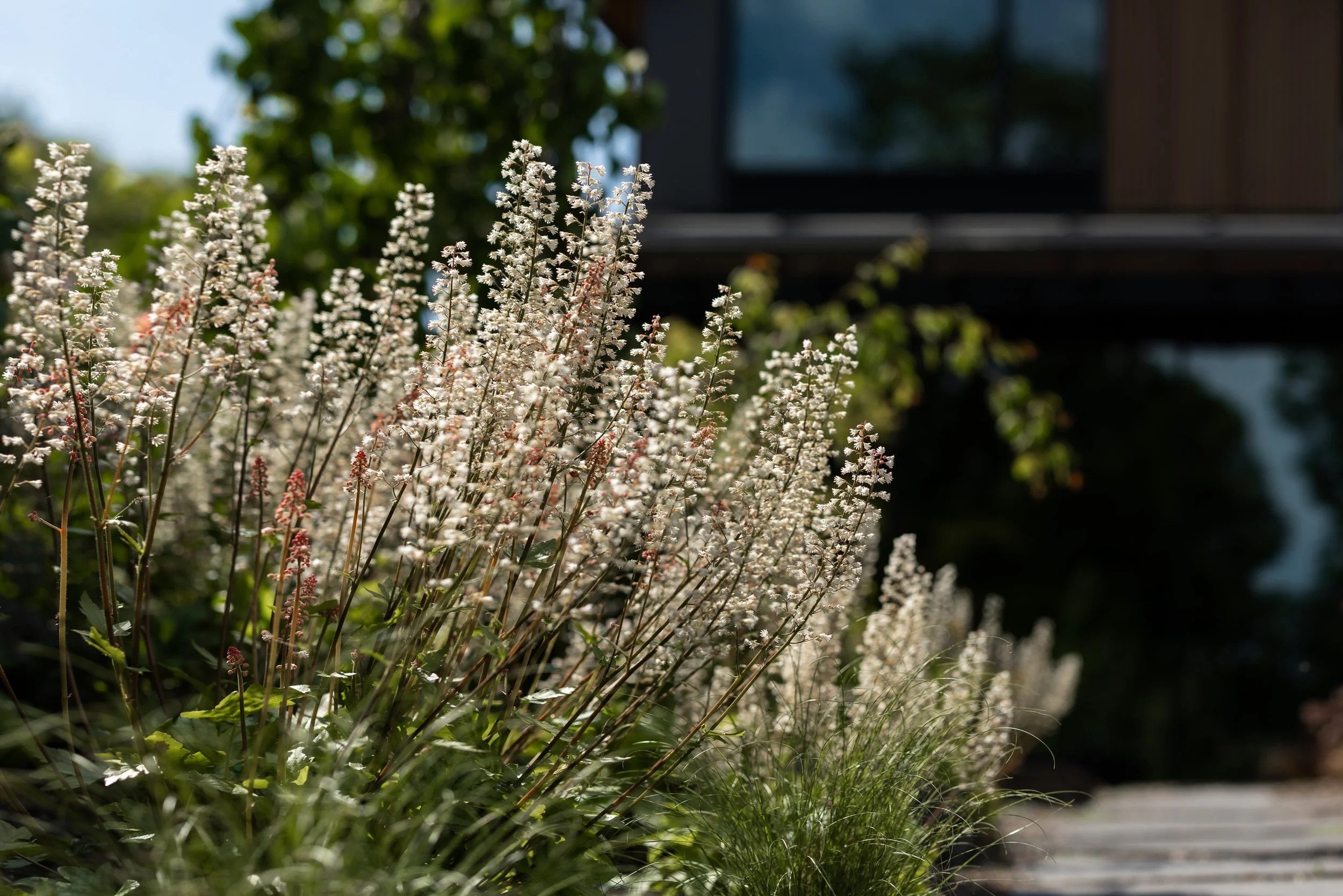 FFL-Grassmere-Residence-Previews-1013.jpg