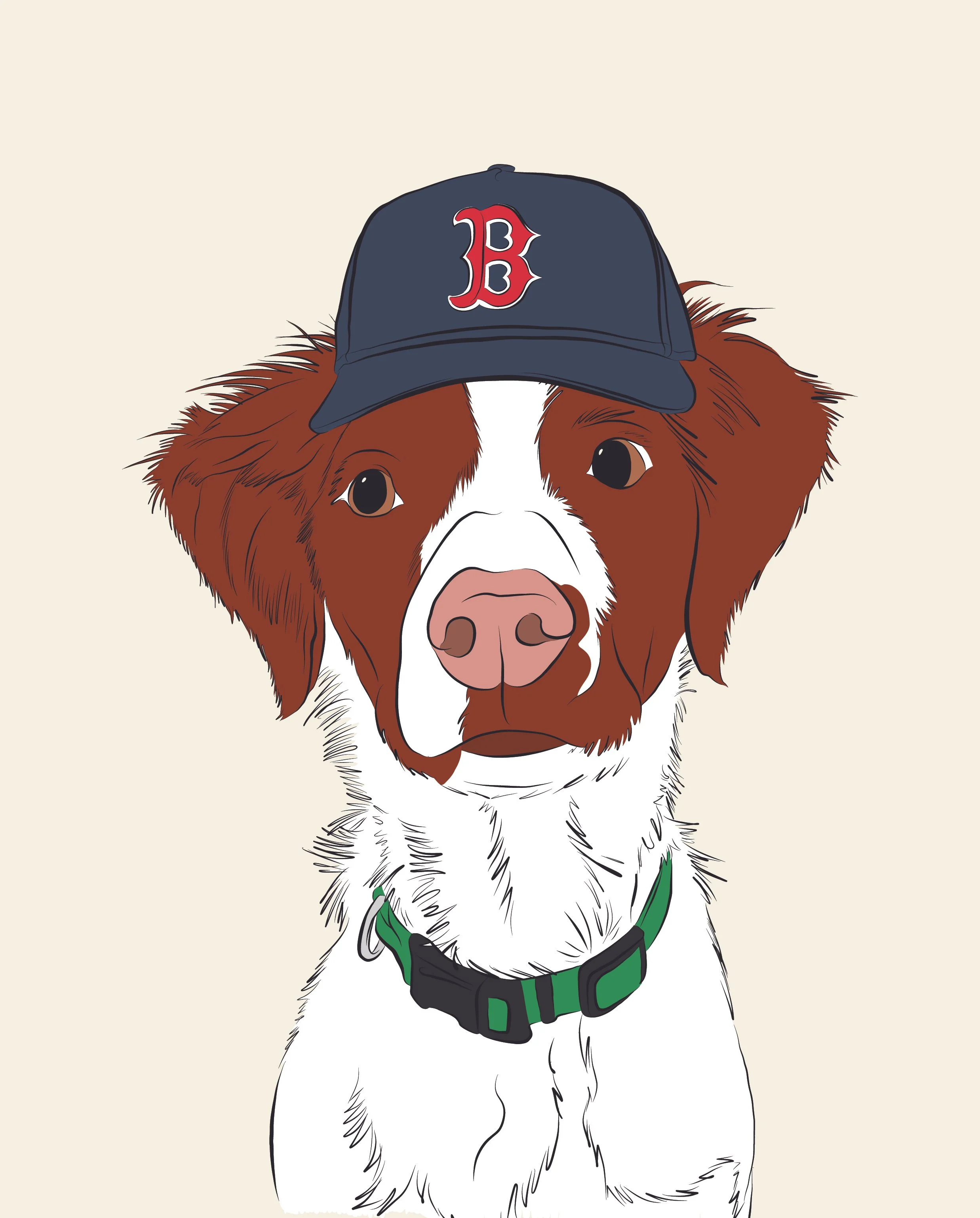 An illustration of a dog wearing a blue baseball cap with a red 'B' logo, with brown and white fur, and a green collar.