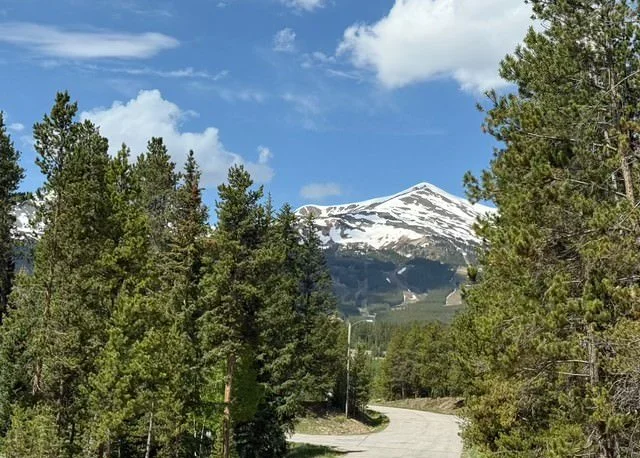 A scenic view of a snow-capped mountain from a winding road through dense pine trees.