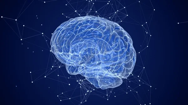 Neurodivergent-Affirming Therapy