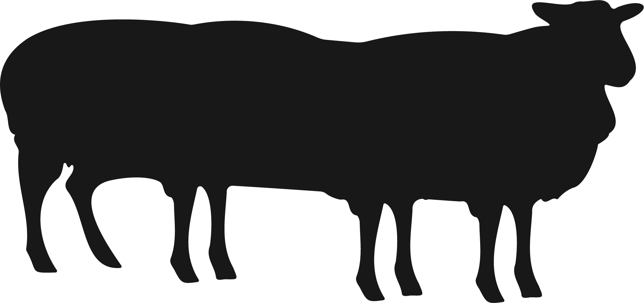 Silhouette of three overlapping sheep in a row.