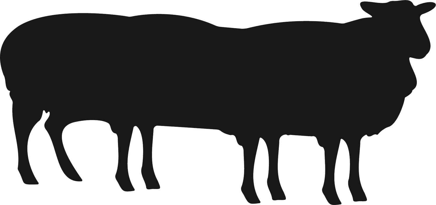 Black Sheep