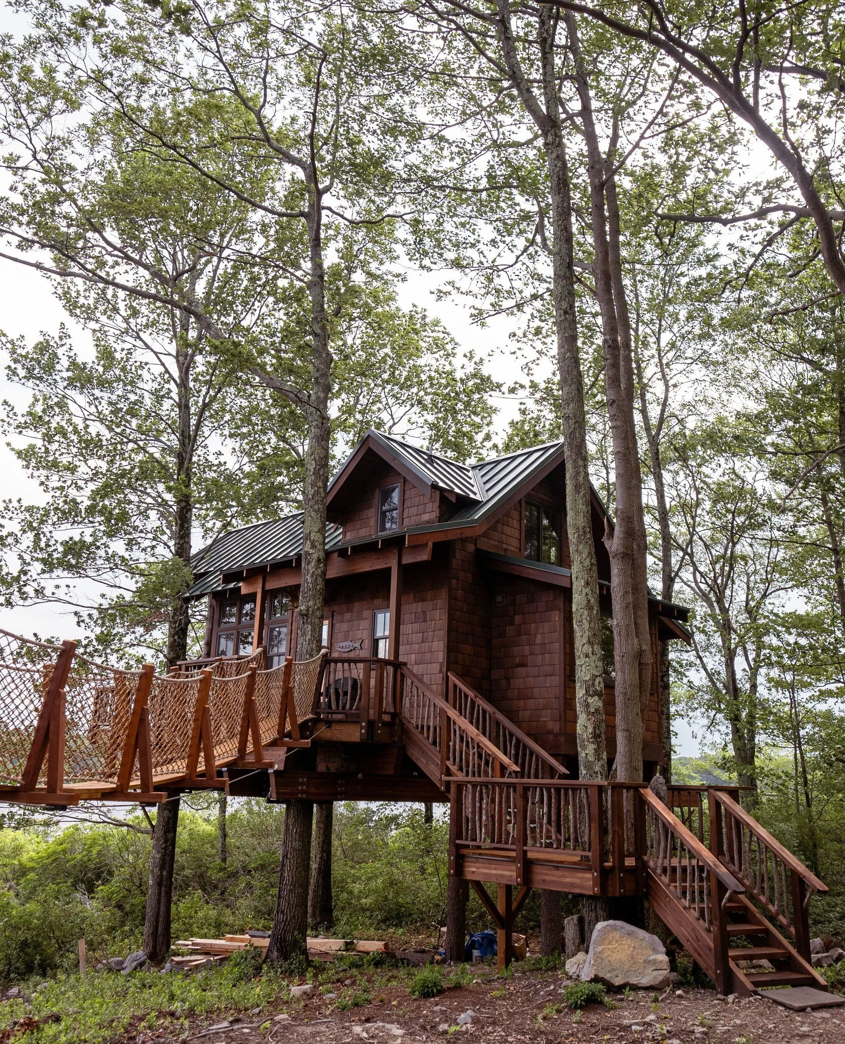 tree house.jpg