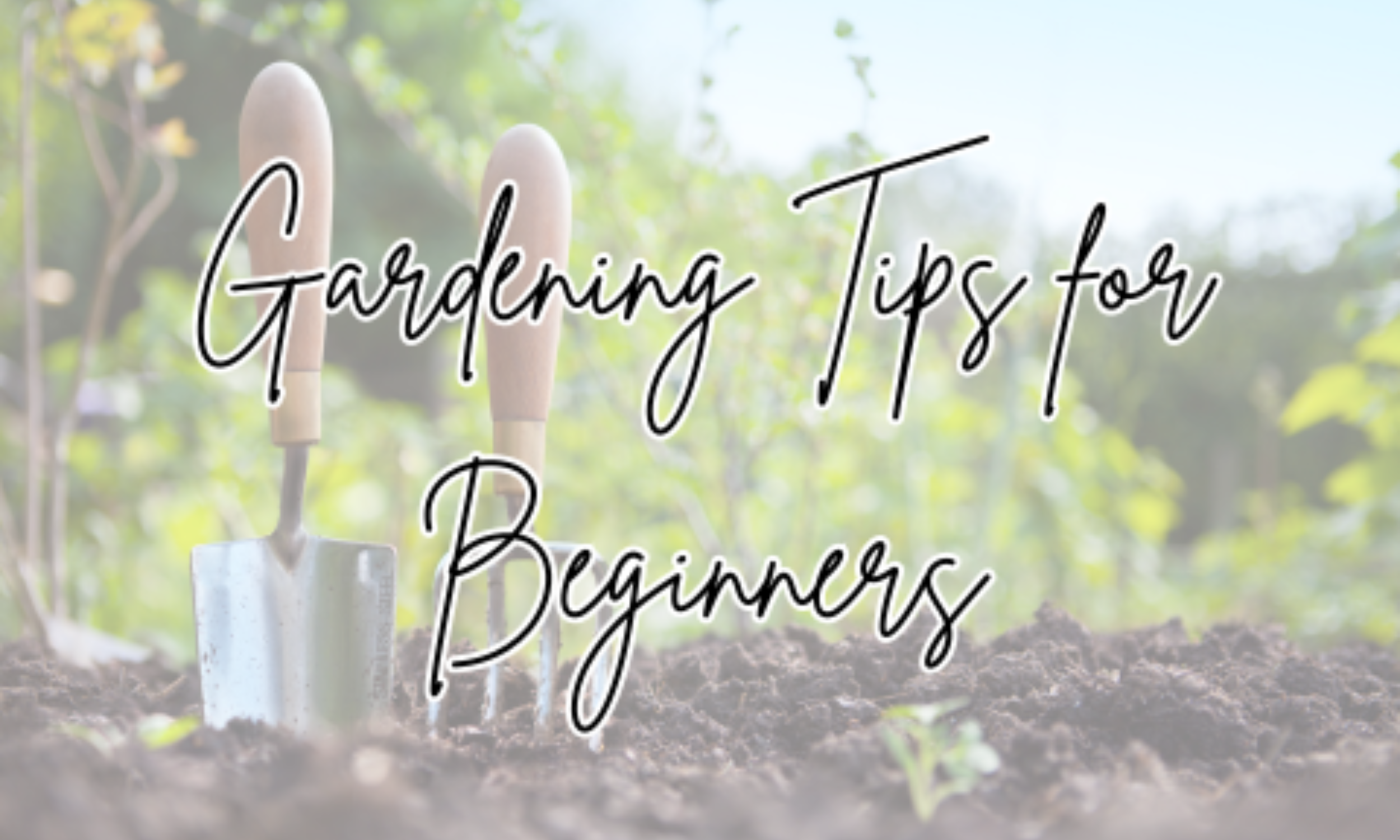 Gardening for Beginners
