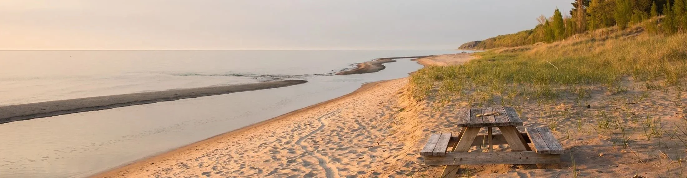 A calm sandy beach with a wooden picnic table, grassy dunes, and trees in the distance during sunset or sunrise.
