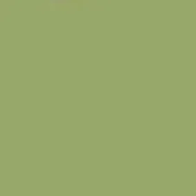 A solid green background with no distinct objects or features.