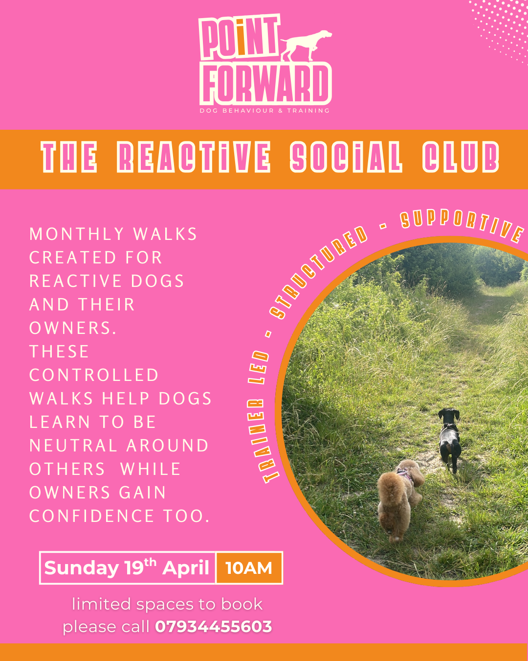 The Reactive Social Club - 19/04/26