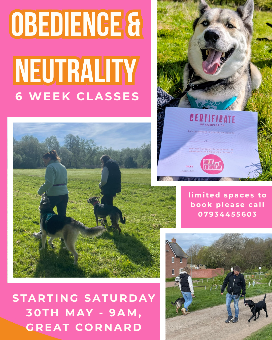 OBEDIENCE AND NEUTRALITY CLASSES NEW INTAKE.png