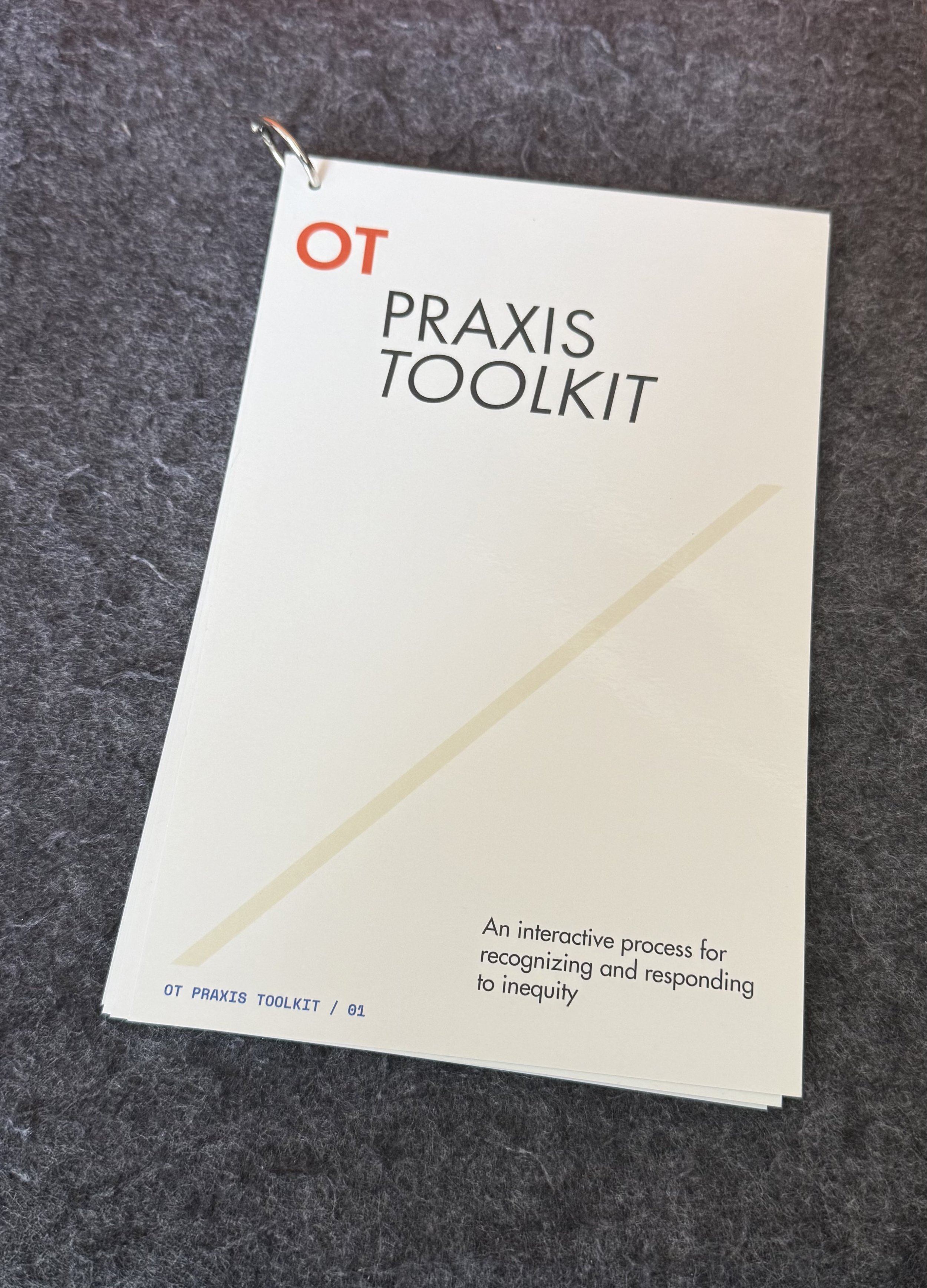 A book titled 'OT PRAKSIS TOOLKIT' with a subtitle indicating it is an interactive process for recognizing and responding to inequity, placed on a dark textured surface.
