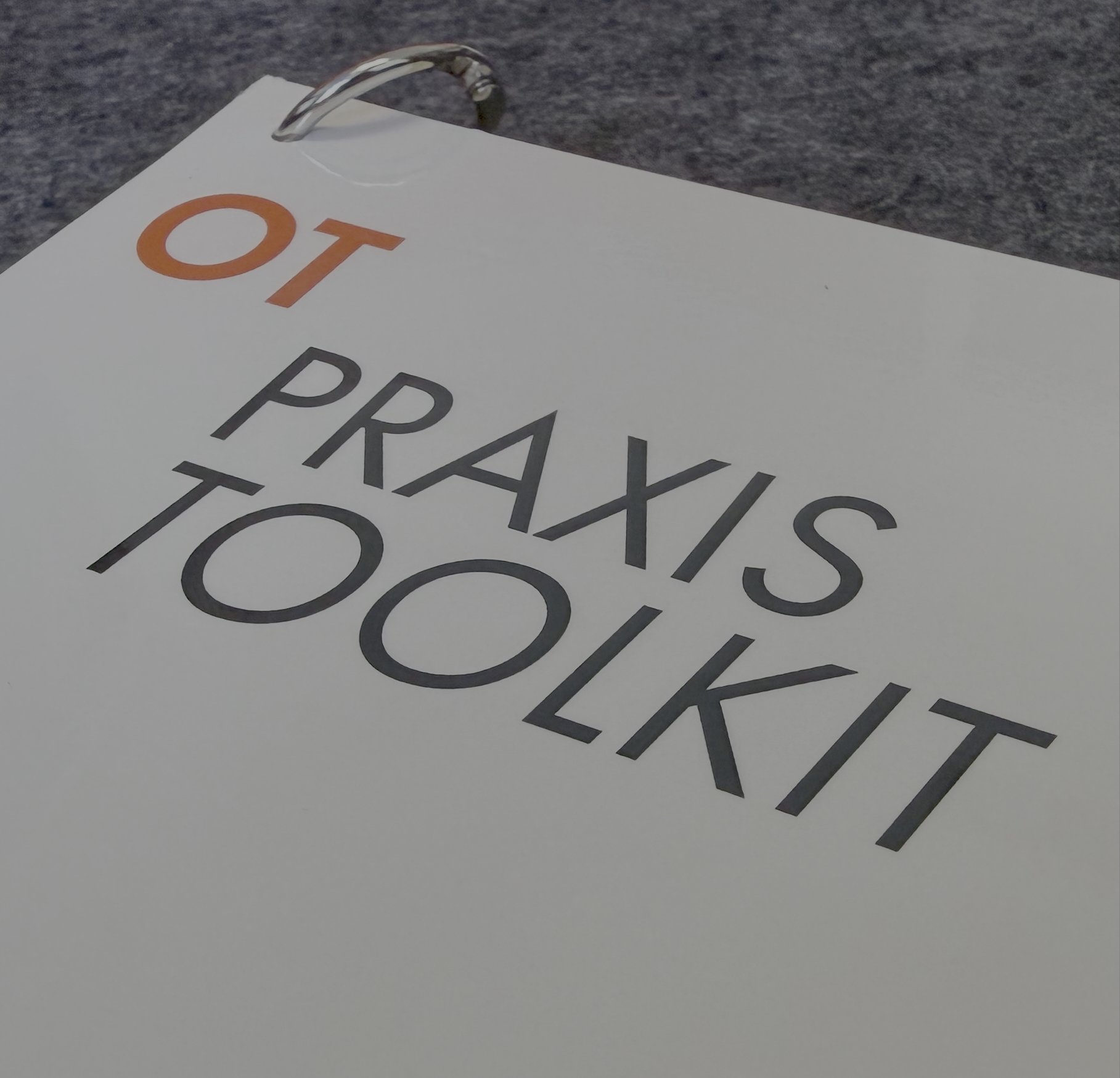 Socio-Political Praxis