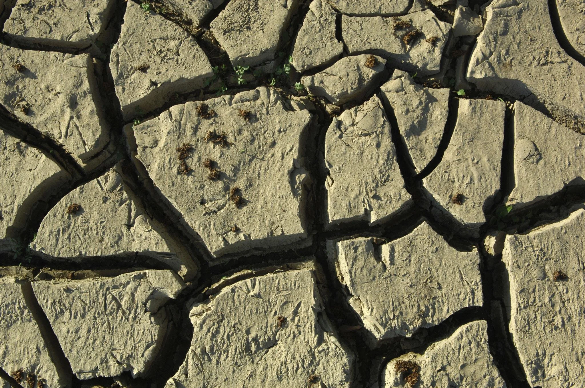 When Healing Gets Hijacked by the Ego