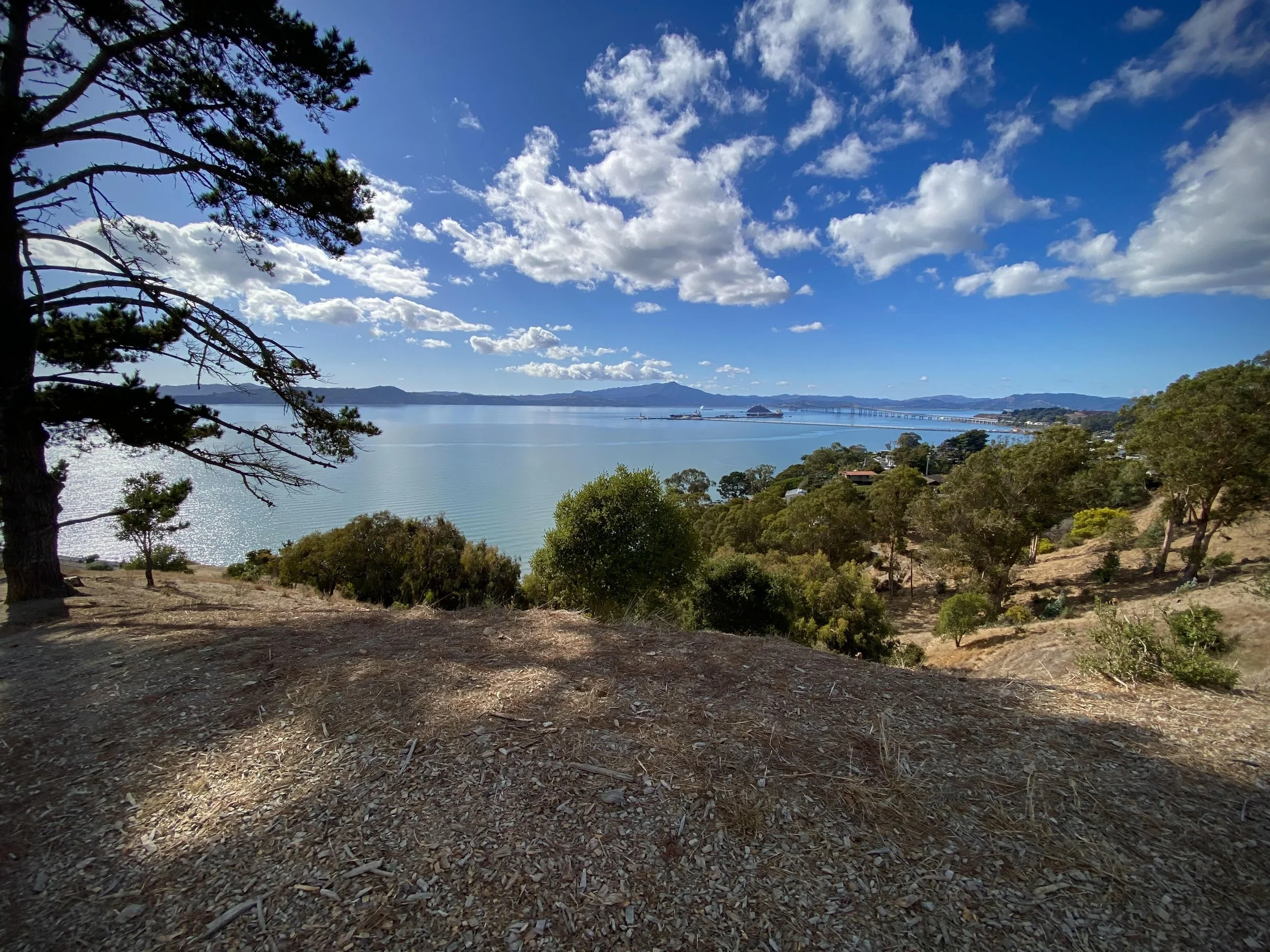 A scenic view of a large body of water, likely a bay or lake, with a distant bridge and mountains on the horizon. The foreground includes a dirt area with scattered trees and bushes, and the sky is blue with some scattered white clouds.