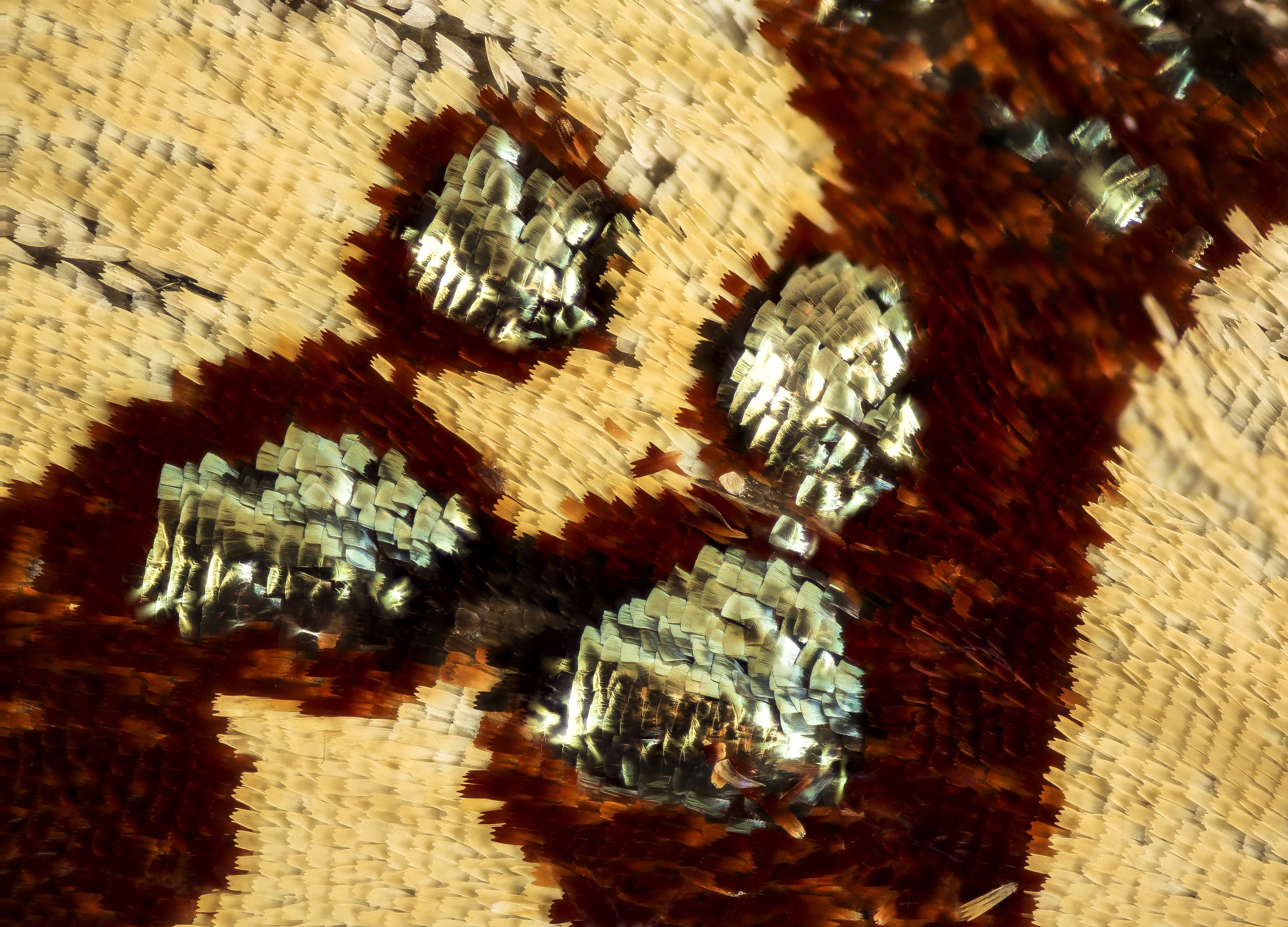 Close-up of a glittery, abstract face with prominent eye makeup and metallic, faceted details.