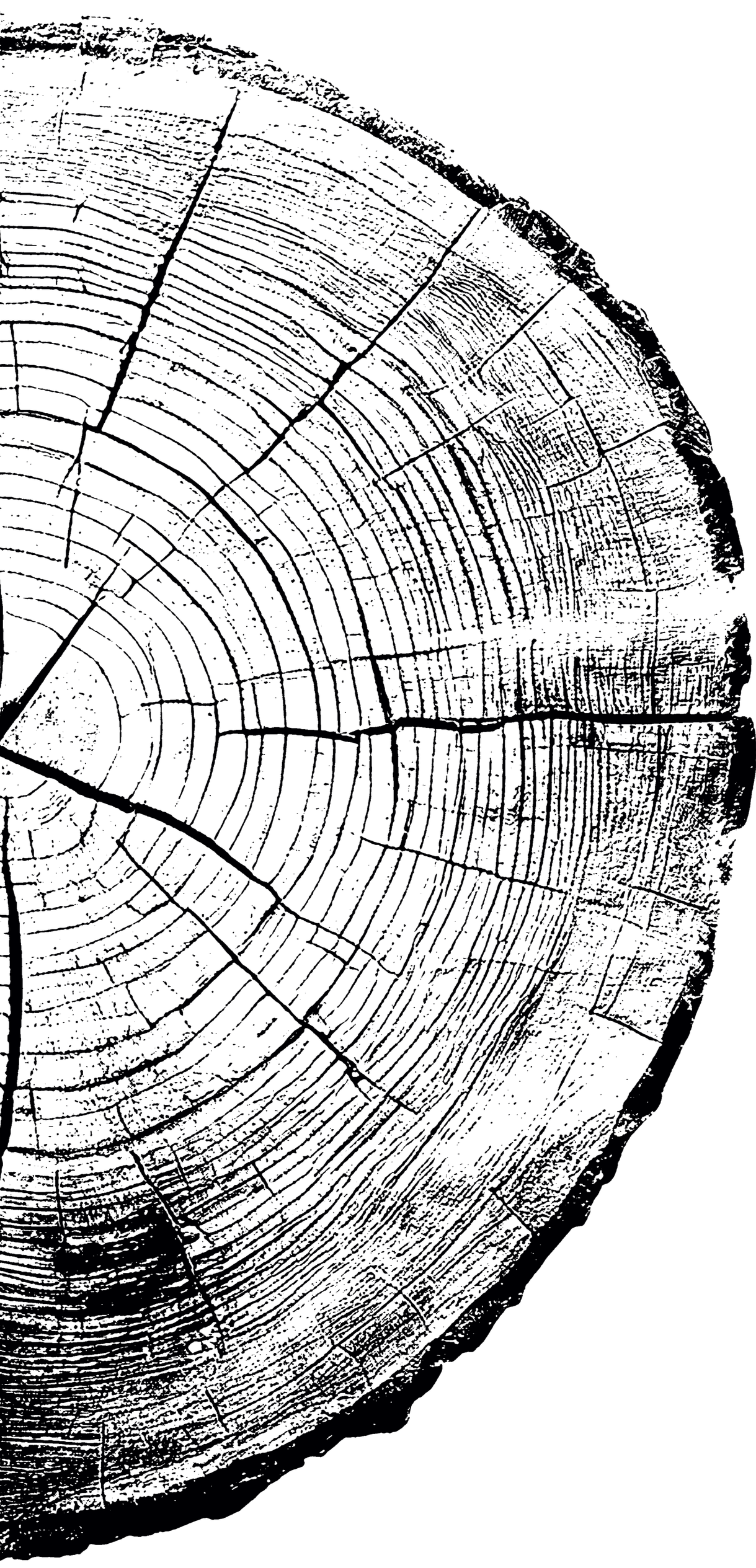 The image shows a luminous sign in a dark environment. The sign displays the words 'Lighthouses of the Pacific' in illuminated, glowing text.