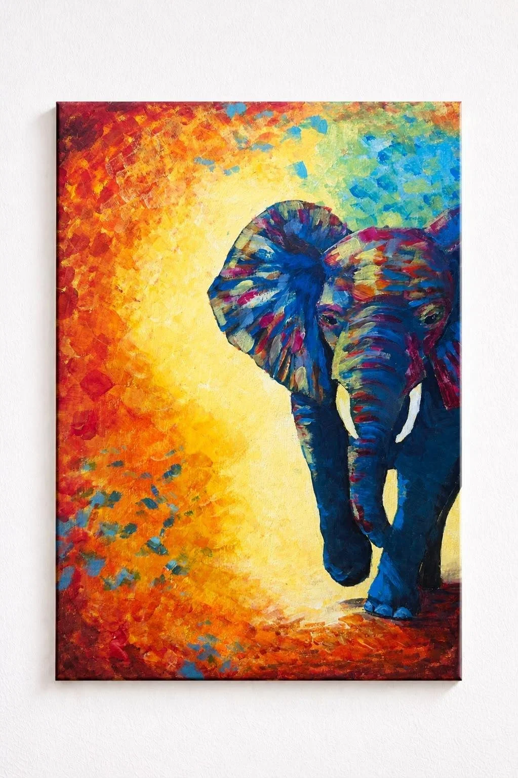 Wild In Colour - 6th Aug