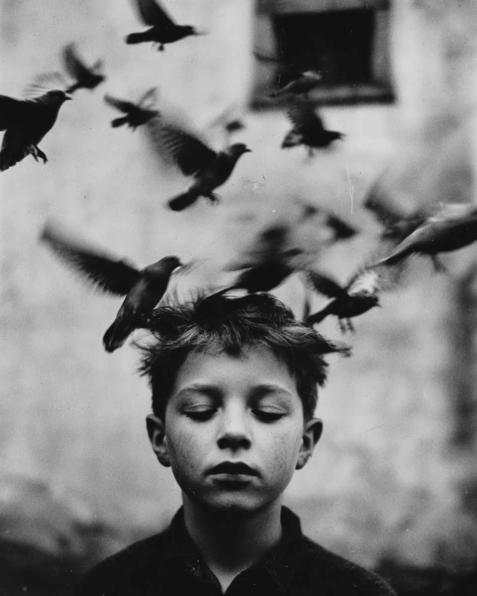 A Crown of Freedom