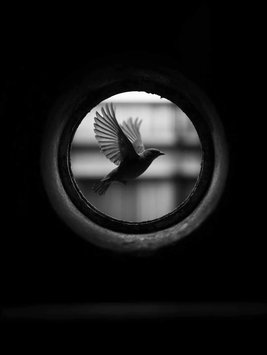 An Imperfect Circle