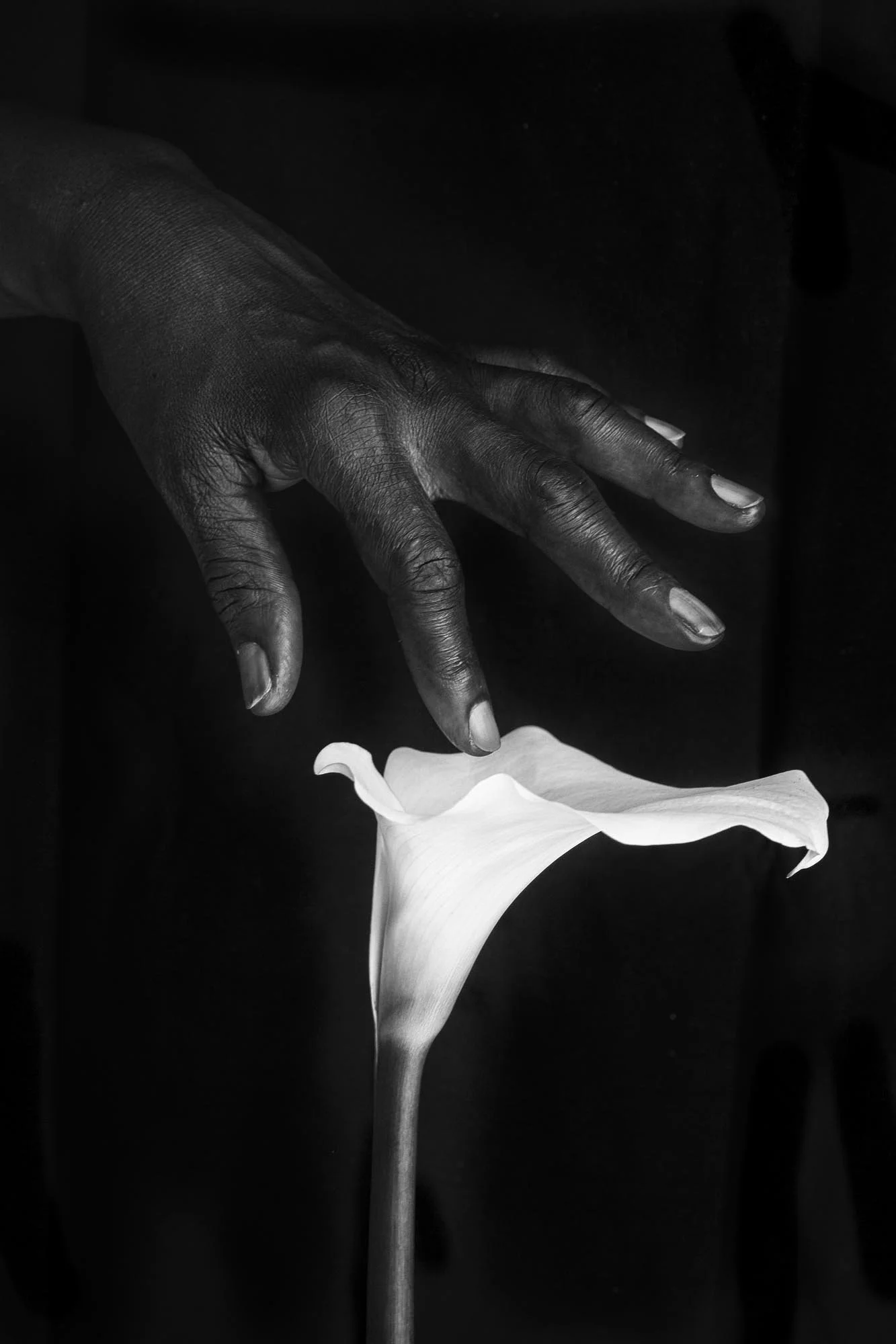 Touch