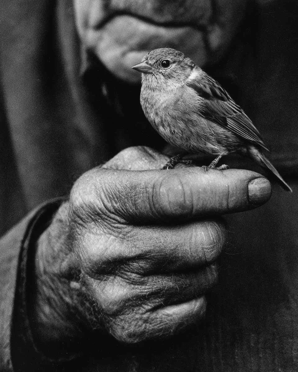 Care In Silence