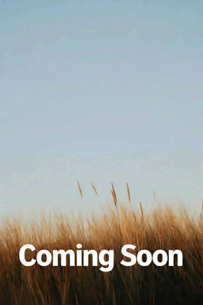 Salt and Soil by poet Jean Kiernan Detjen was published by Kelsay Books in 2026.